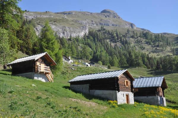 Chalet - Photo 14