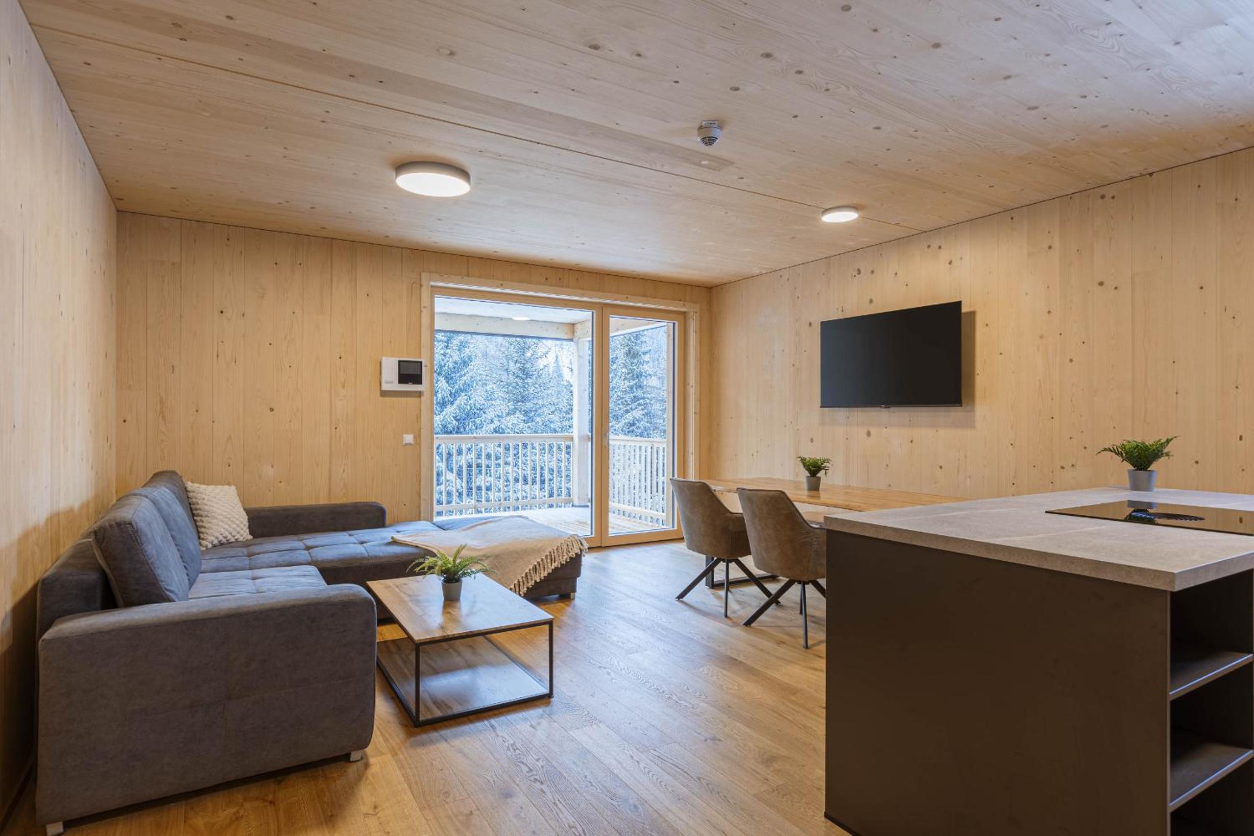Three-Bedroom Apartment with View