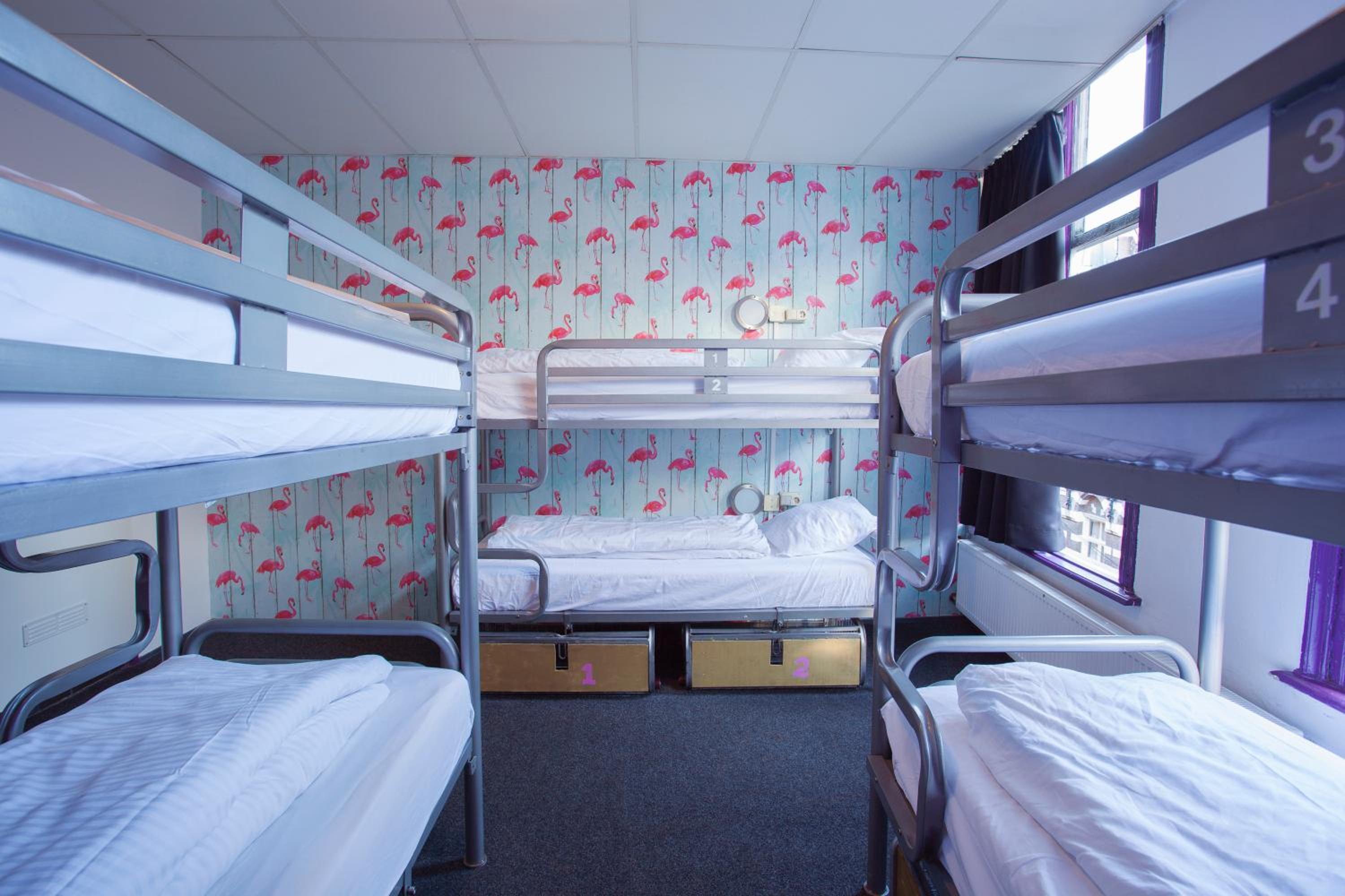 Bed in 6-Bed Female Dormitory Room photo 1