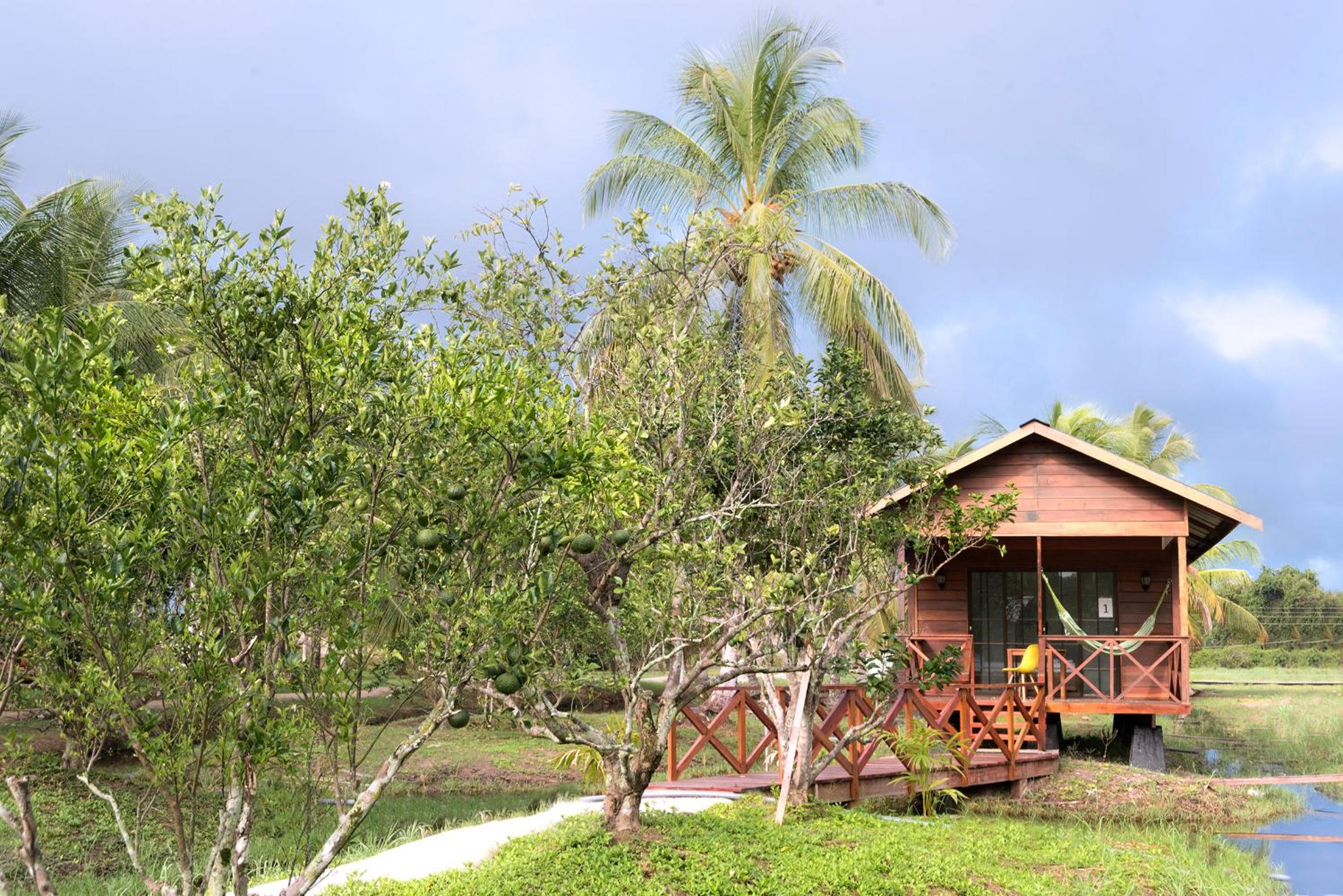 Chalet photo 3