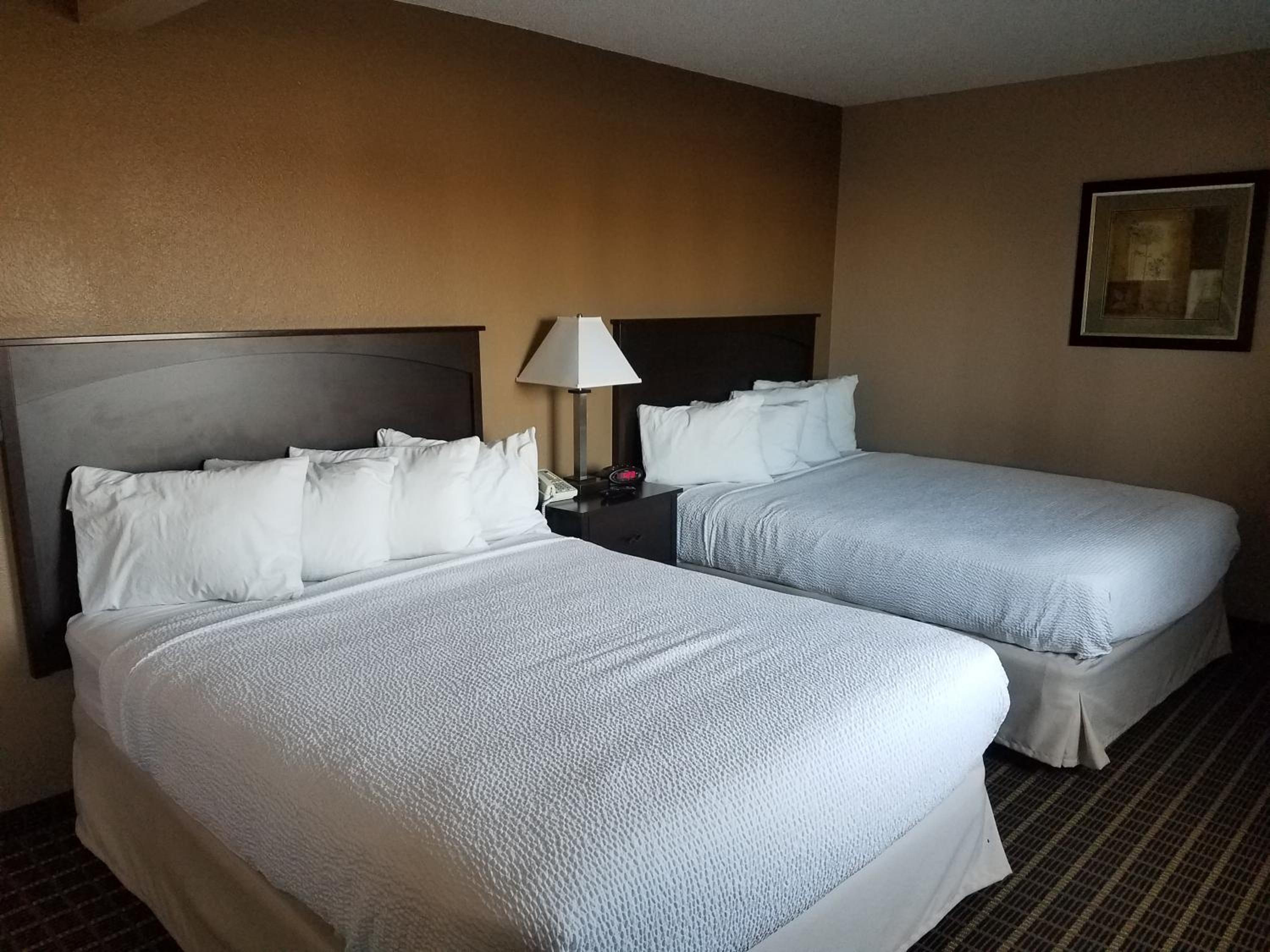 Two Queen Beds Executive Non-Smoking photo 1