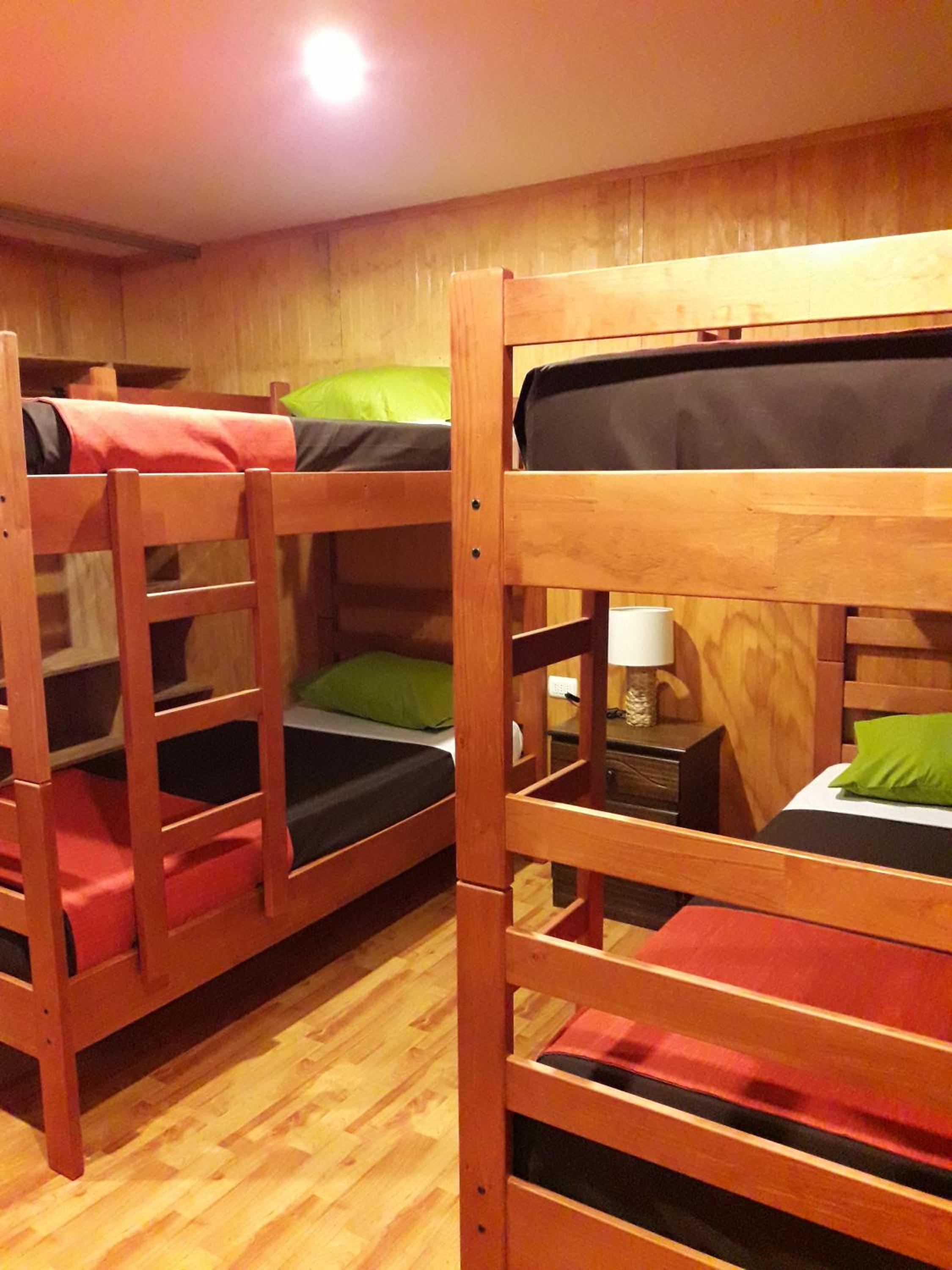 Single Bed in Female Dormitory Room photo 2