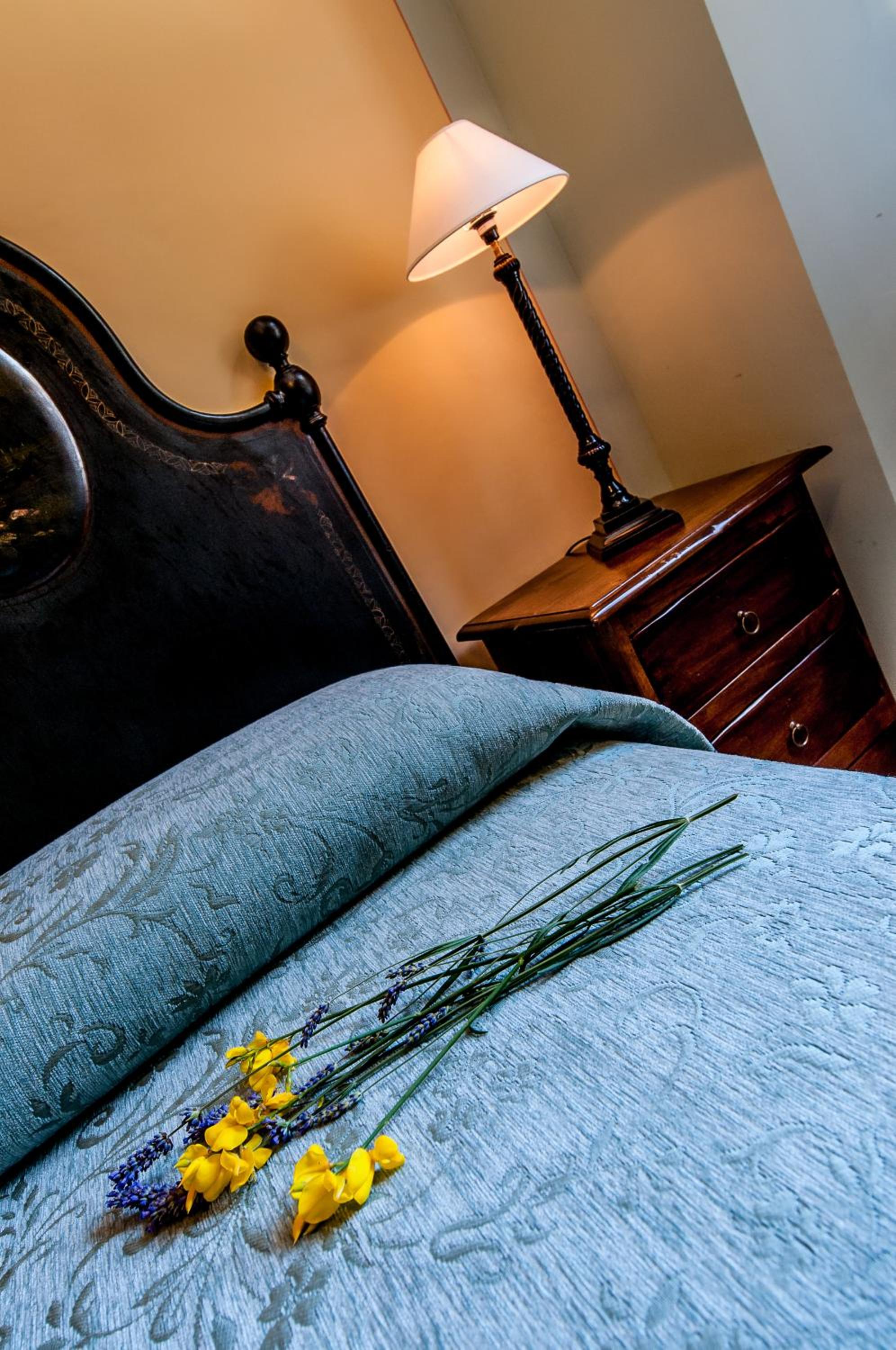 Double or Twin Room - Photo 14