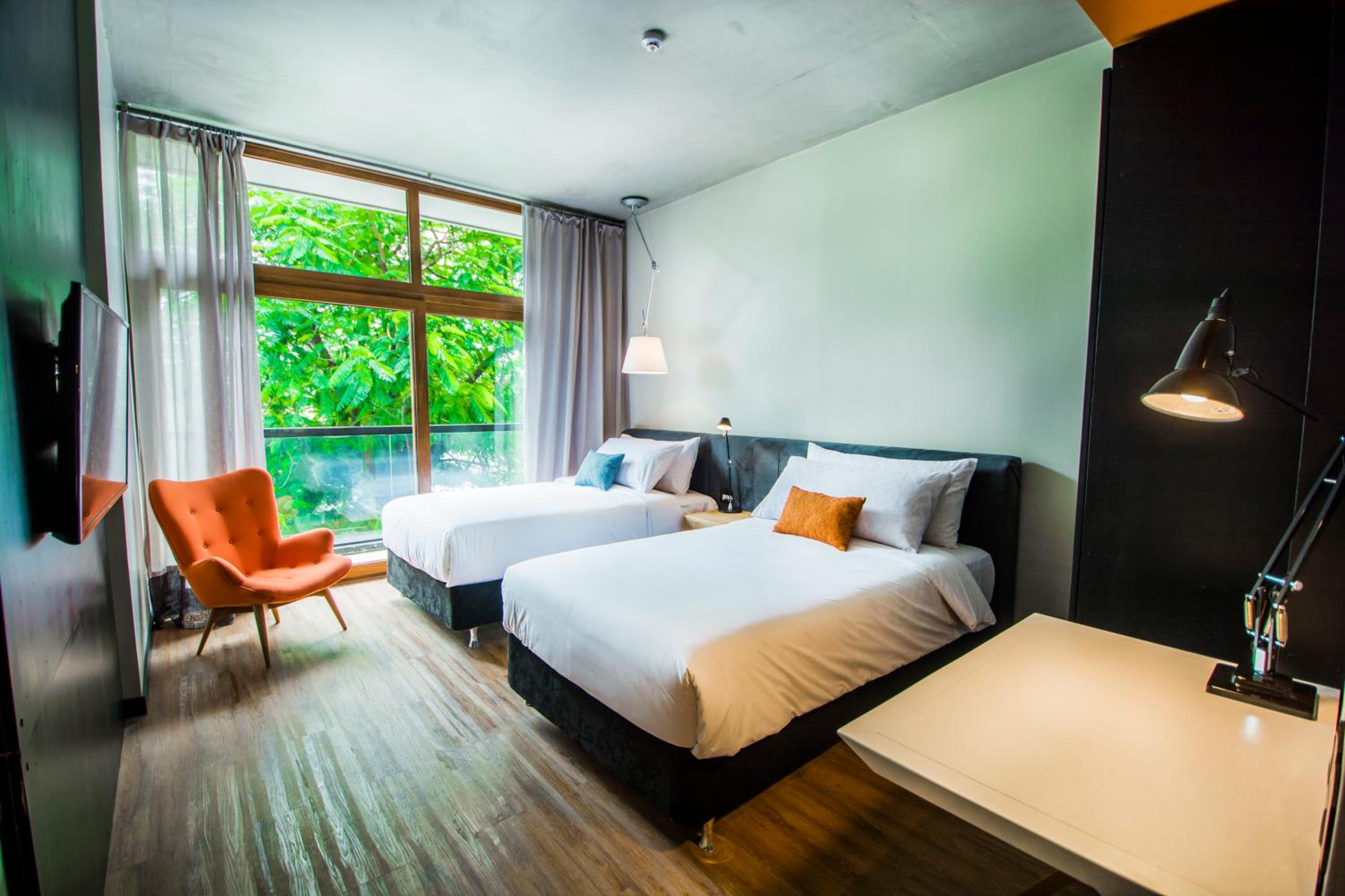 Standard Twin Room photo 1