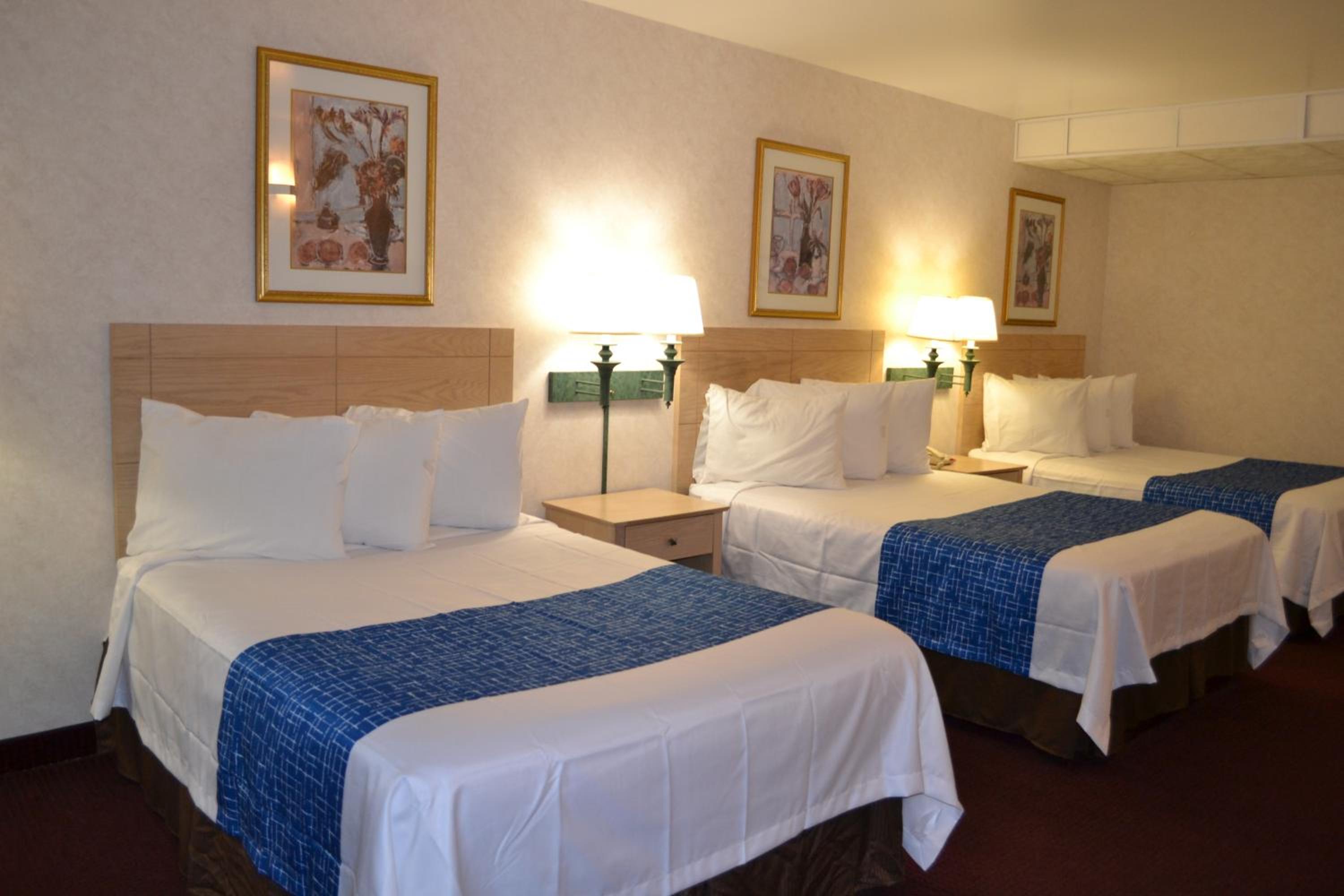 Three Double Beds - Non-Smoking - Photo 1