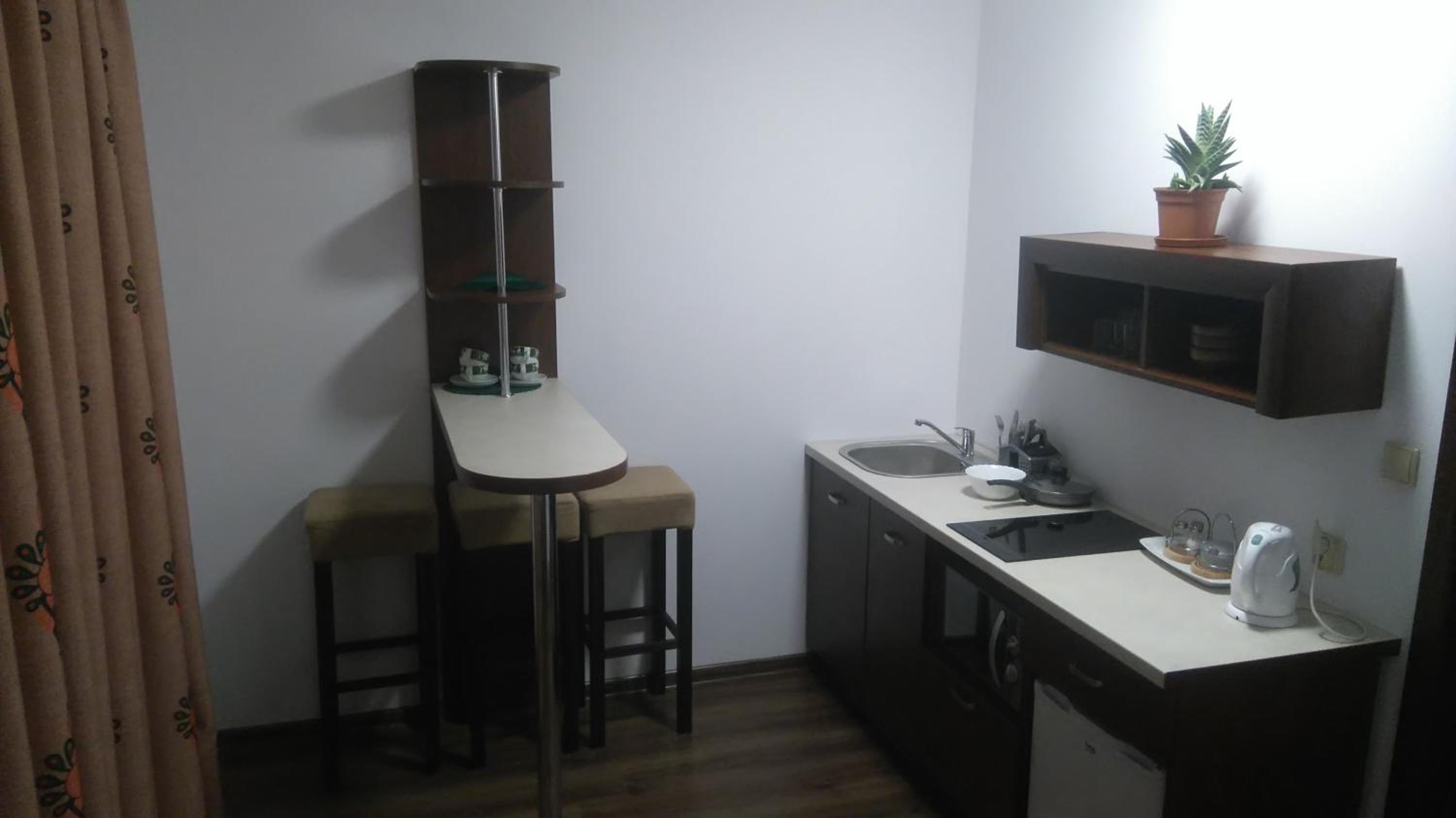 One-Bedroom Apartment - Photo 3