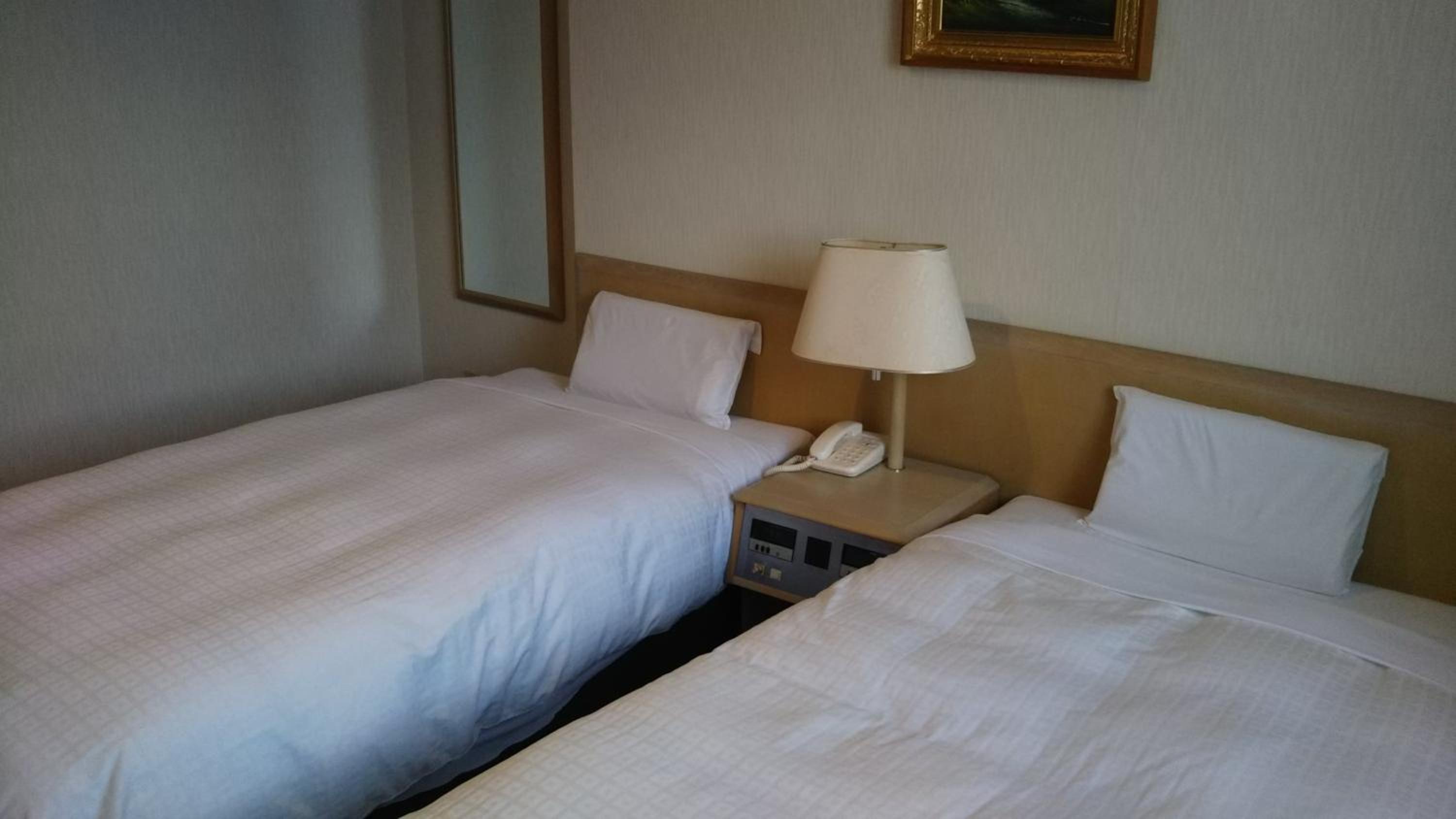 Standard Twin Room - Non-Smoking