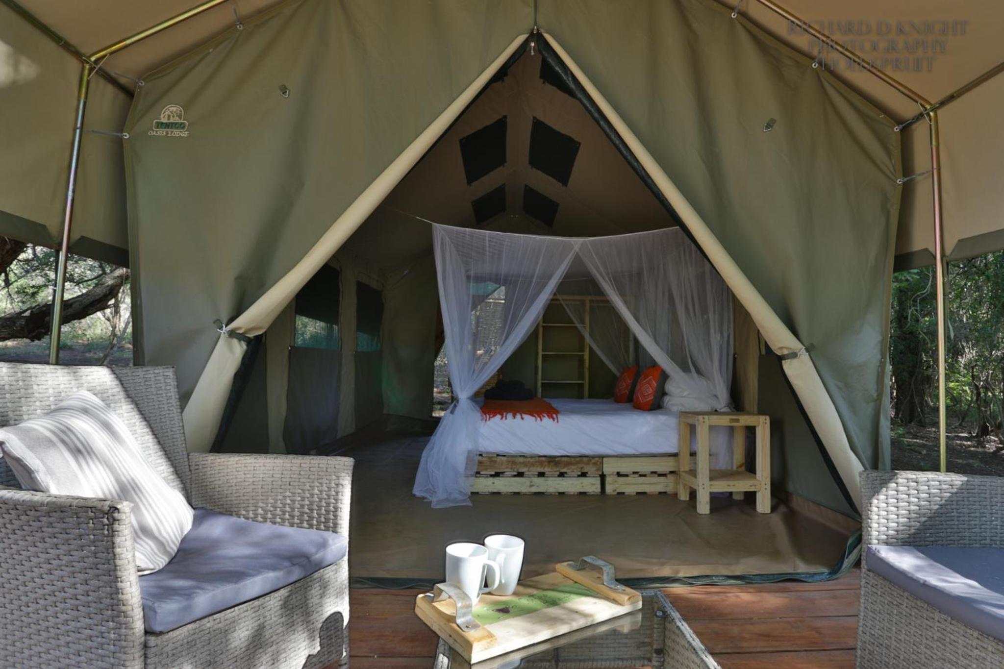 Tent - Photo 1