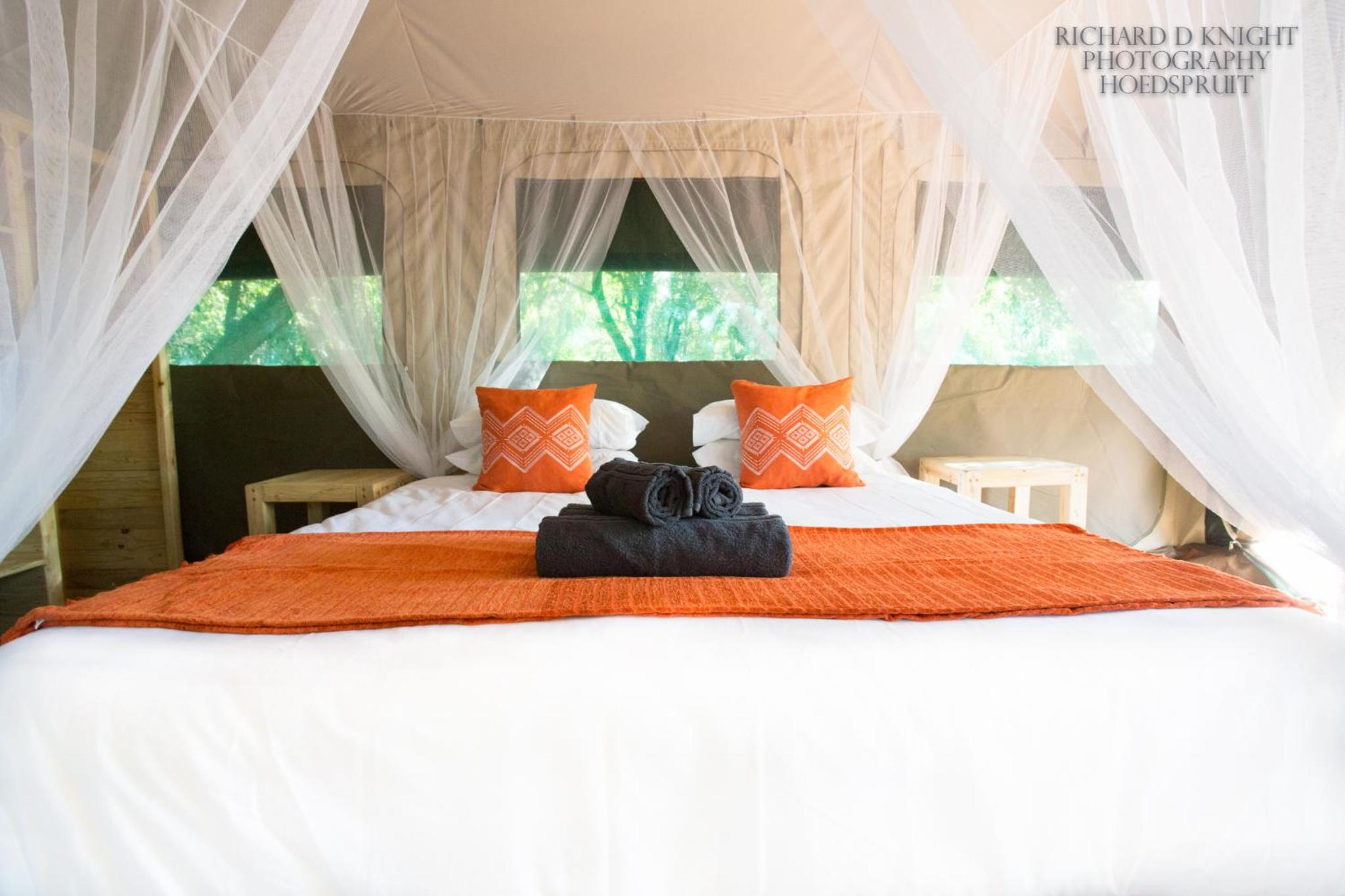 Tent - Photo 5