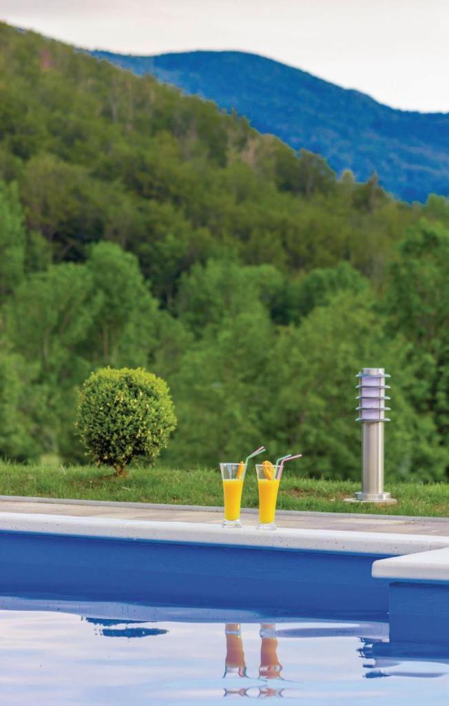 Villa With Private Pool photo 3
