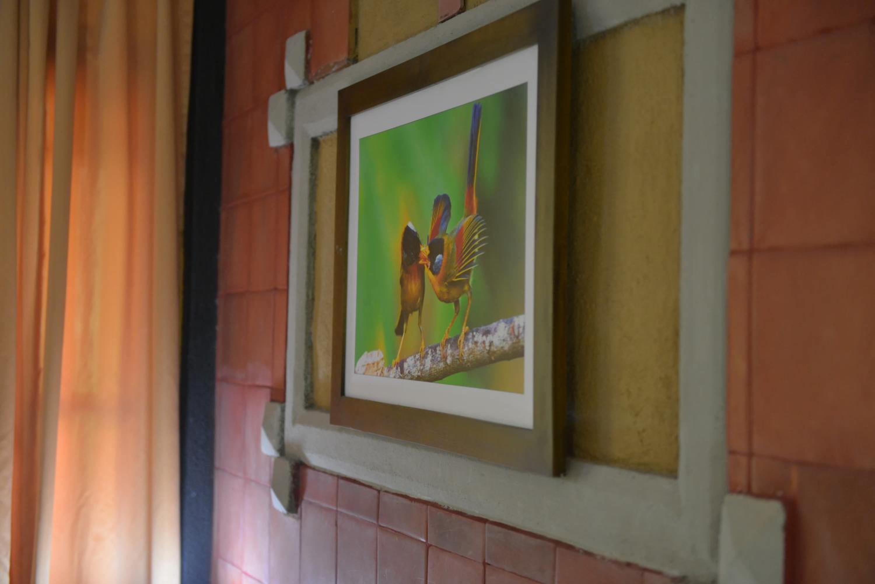Cottage - Photo 10