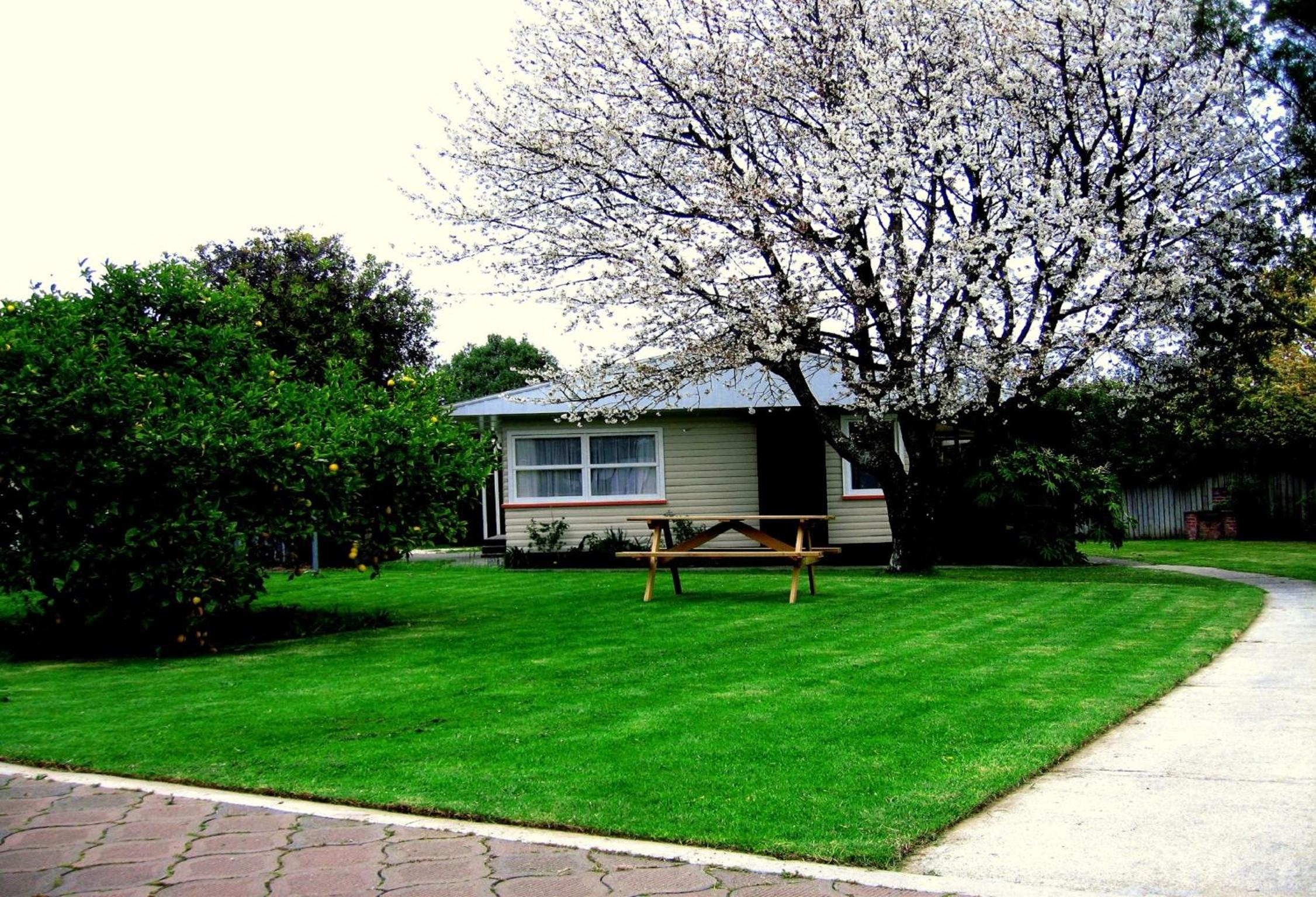 Three-Bedroom House photo 3