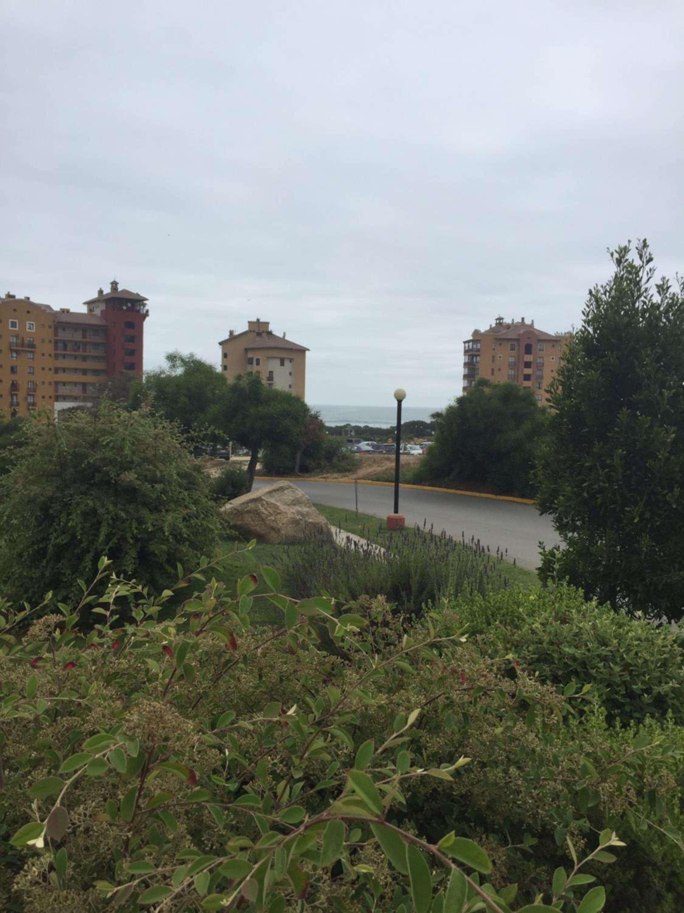 Apartment with Sea View photo 2