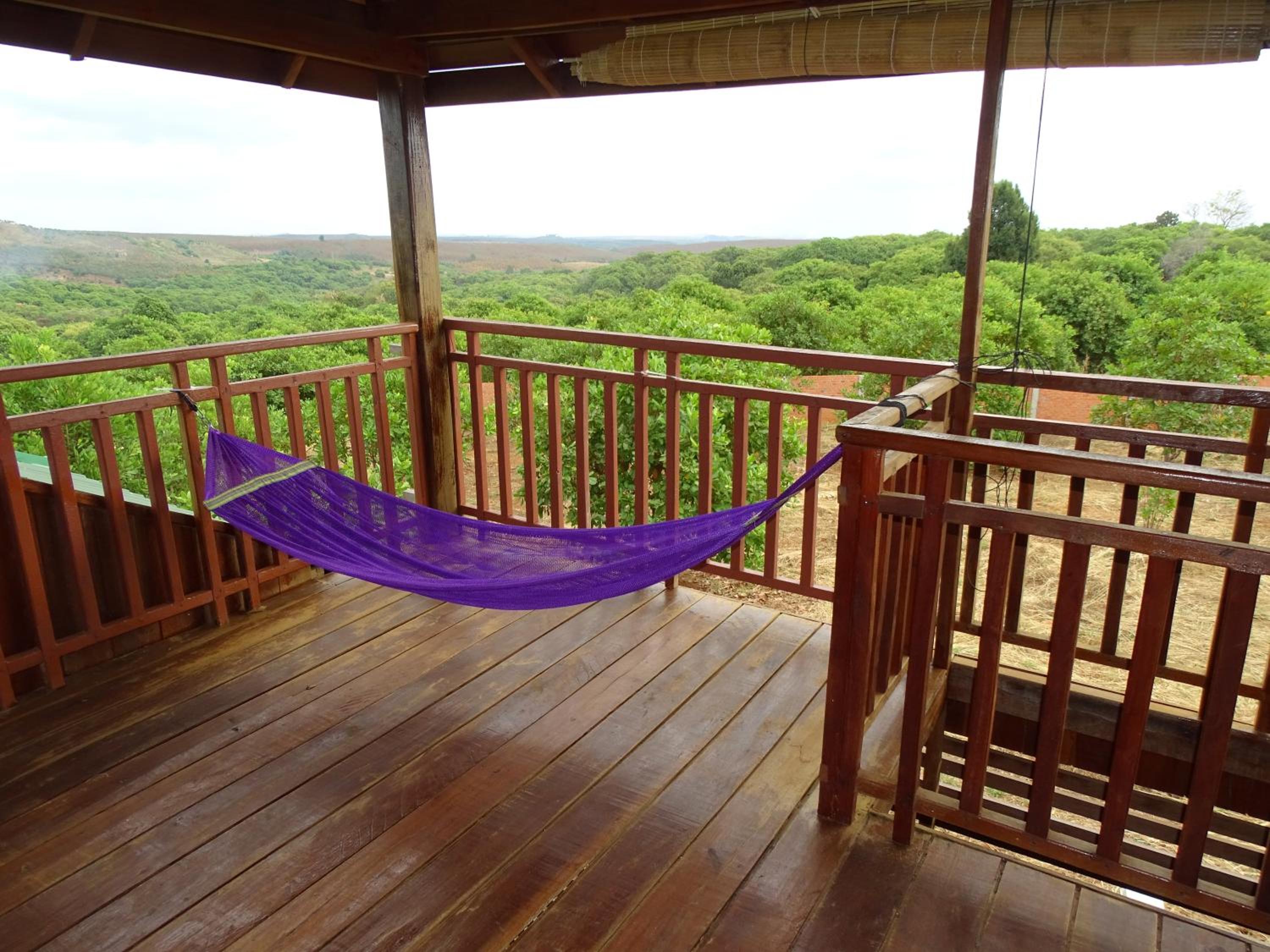 Apartment with Terrace photo 2
