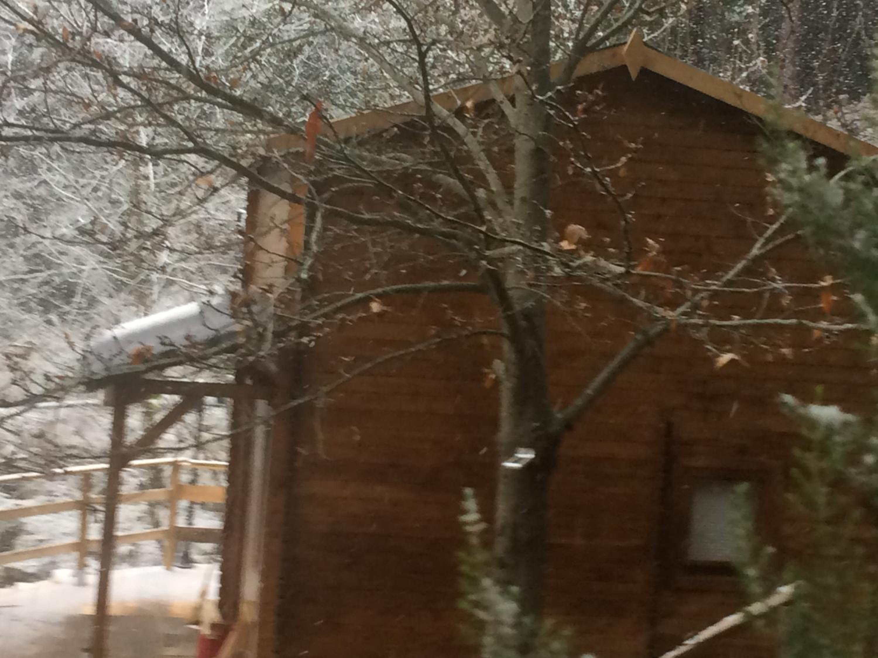 Comfort Chalet photo 2