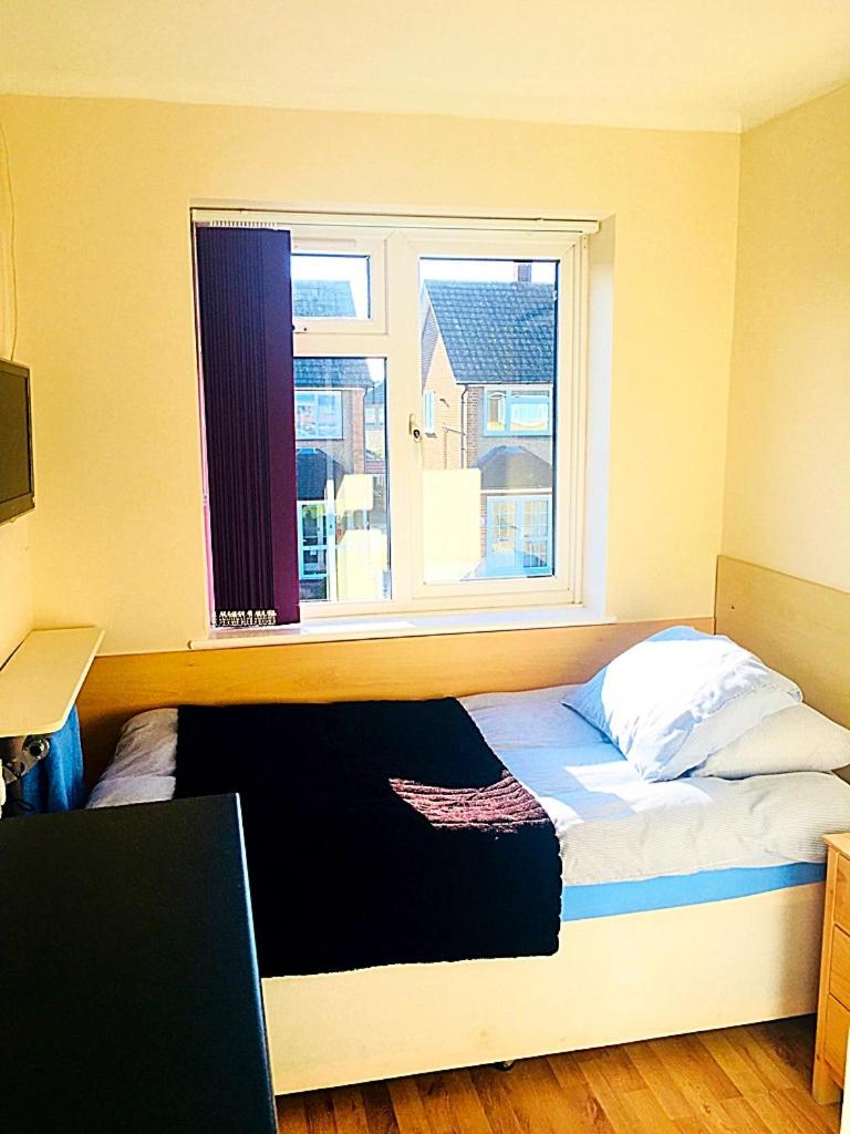 Single Room photo 3