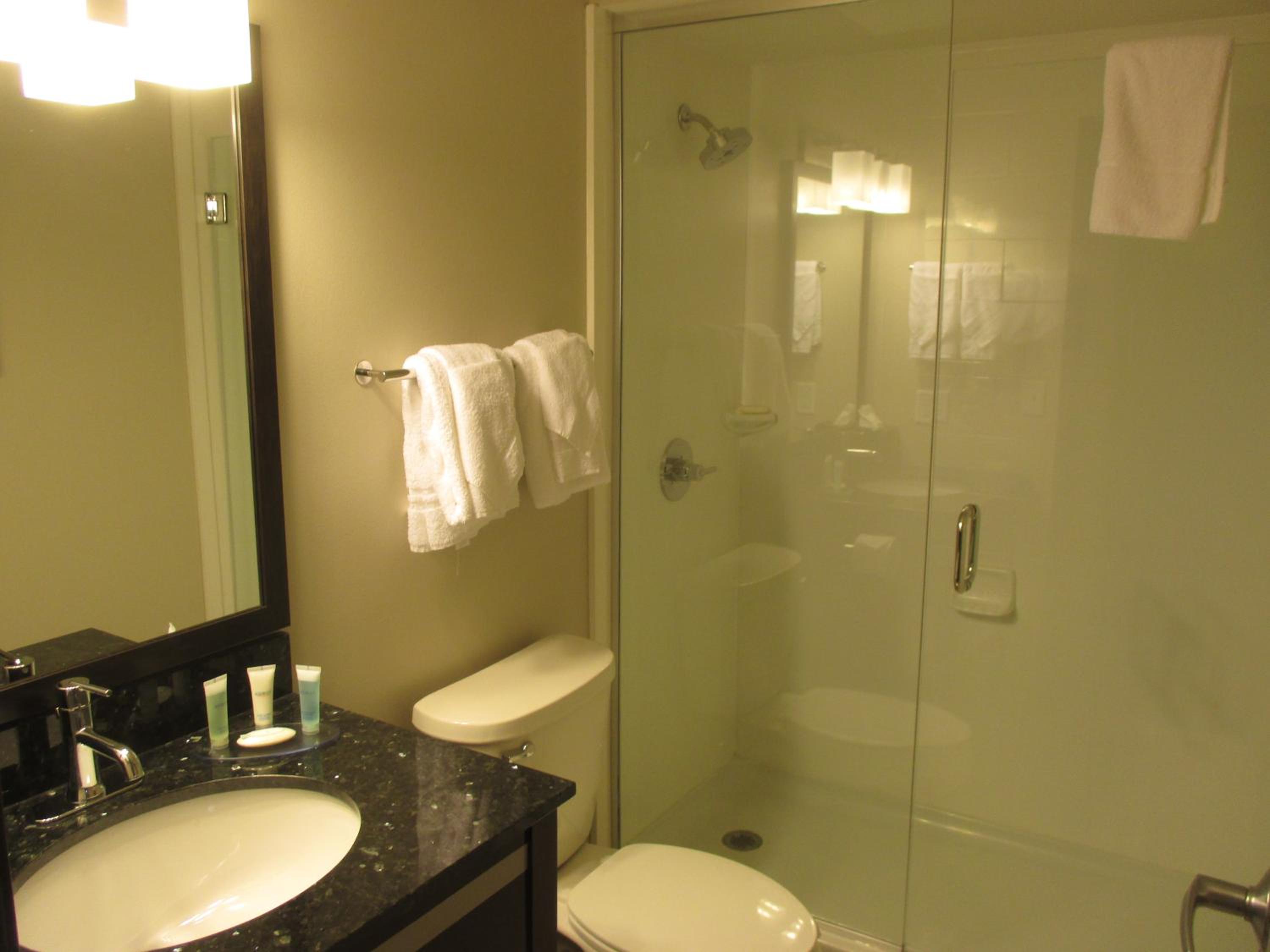 One-Bedroom King Suite with Sofa Bed photo 3