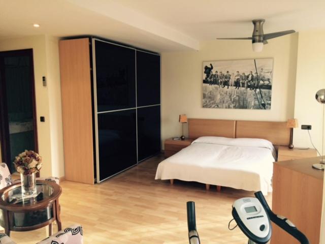Penthouse Apartment photo 1
