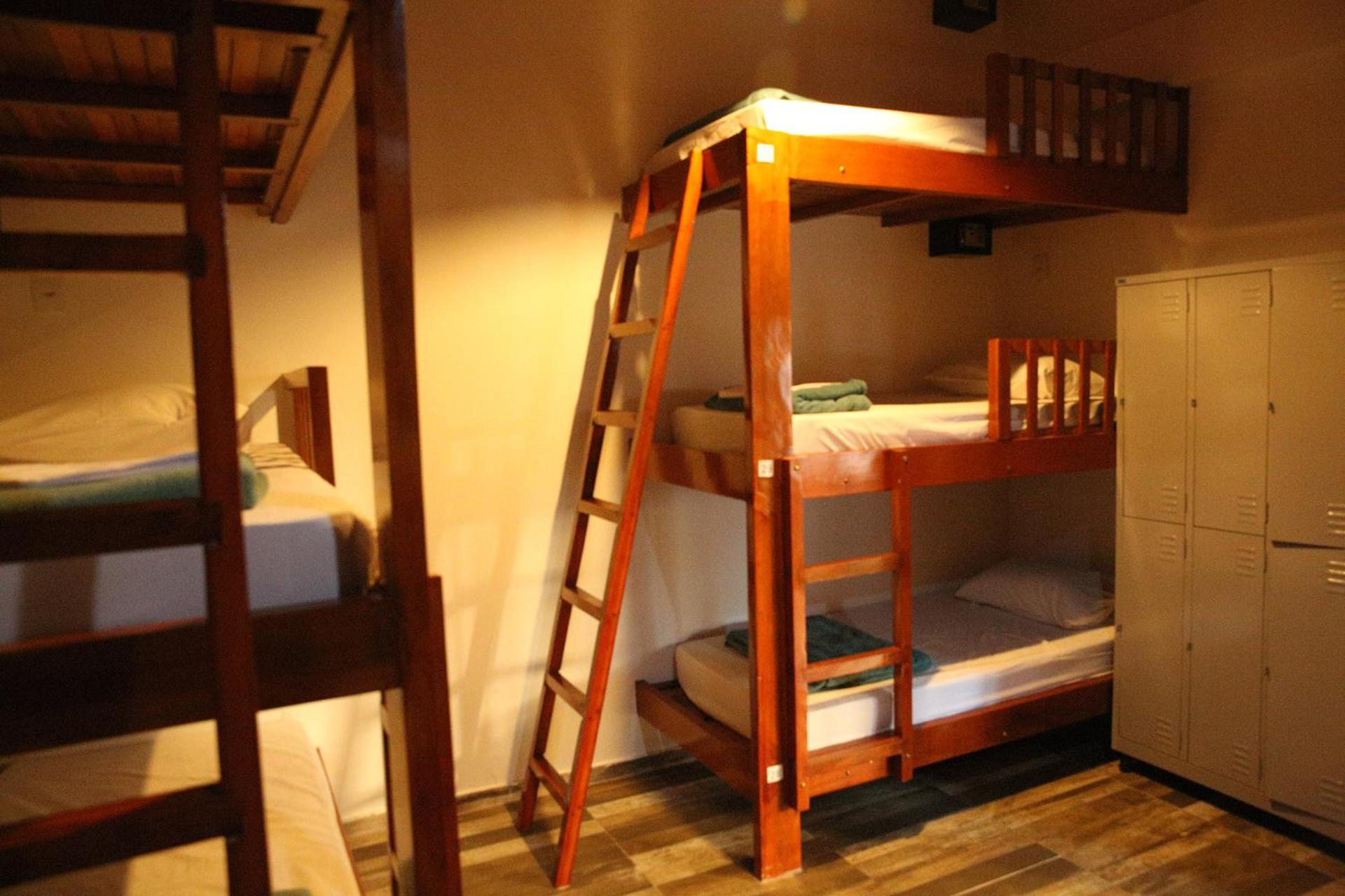 Bunk Bed in Mixed Dormitory Room photo 1