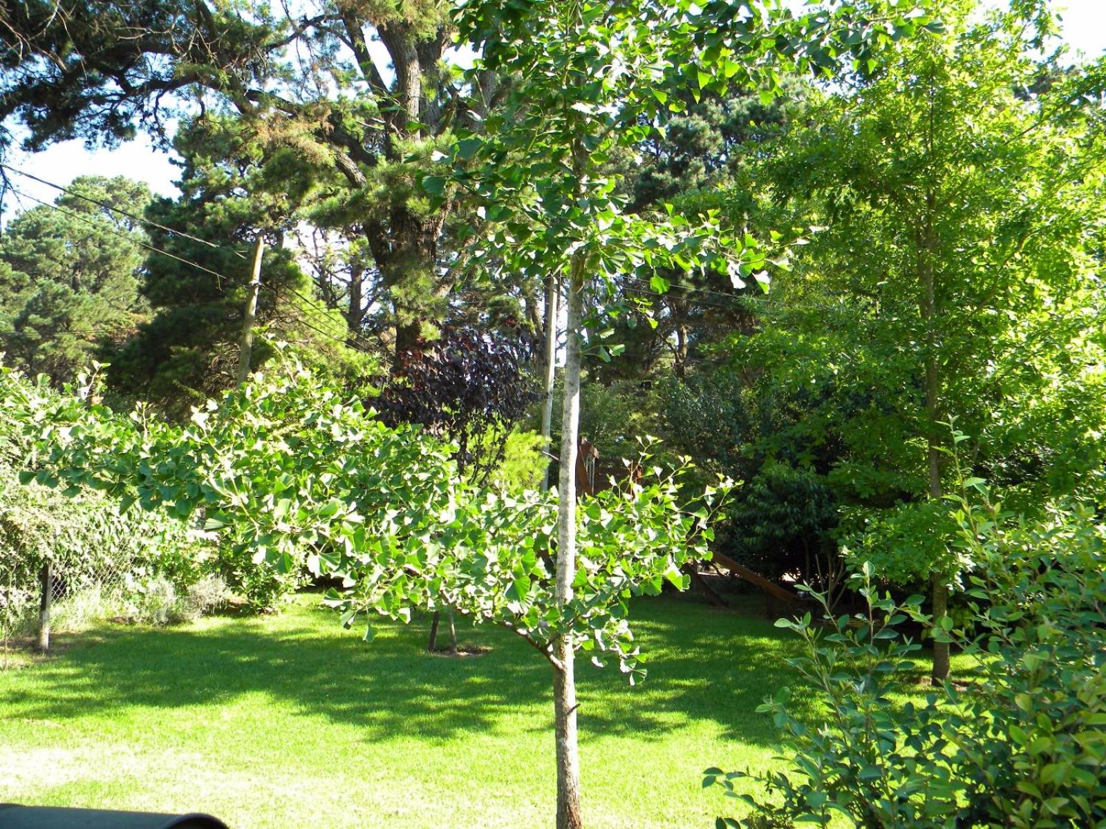 Cottage with Garden View photo 3