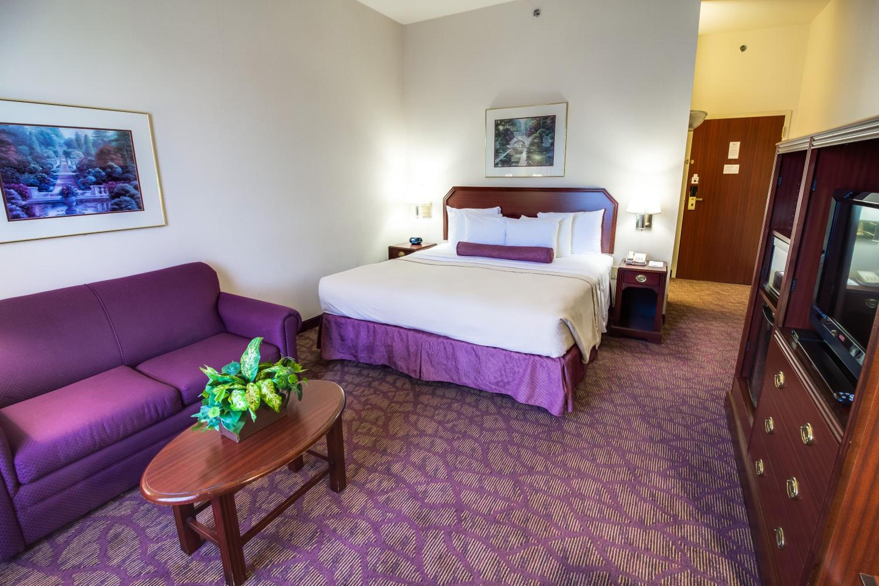 King Room - Photo 2