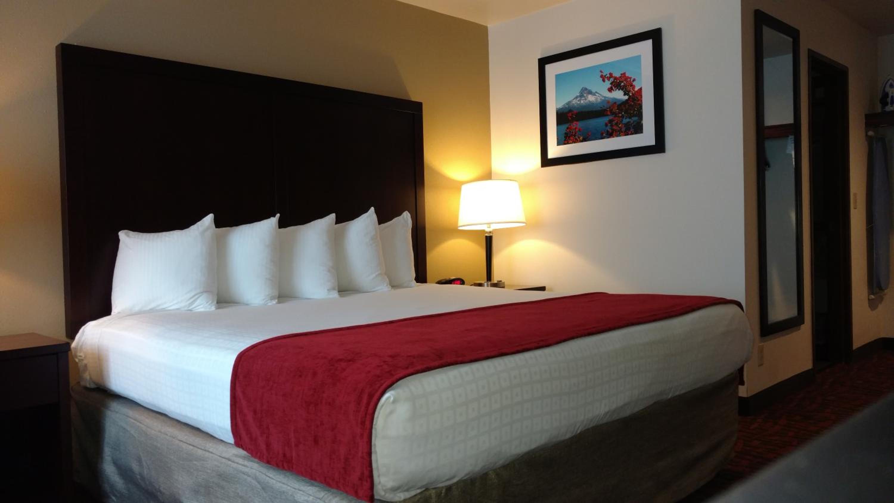 King Room with Poolside - Non-Smoking  - Photo 6