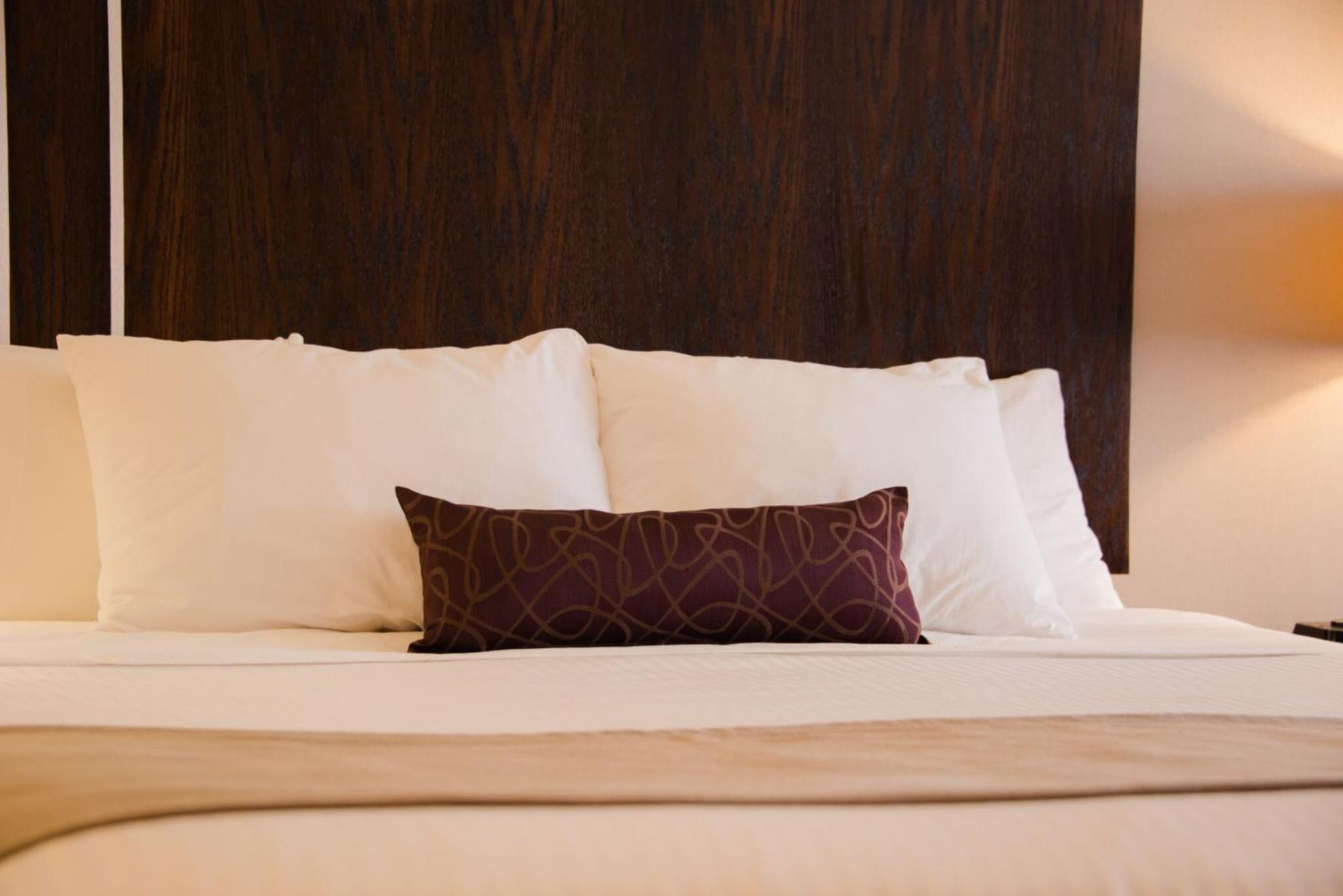 Queen Room with Sofa Bed - Non-Smoking photo 1