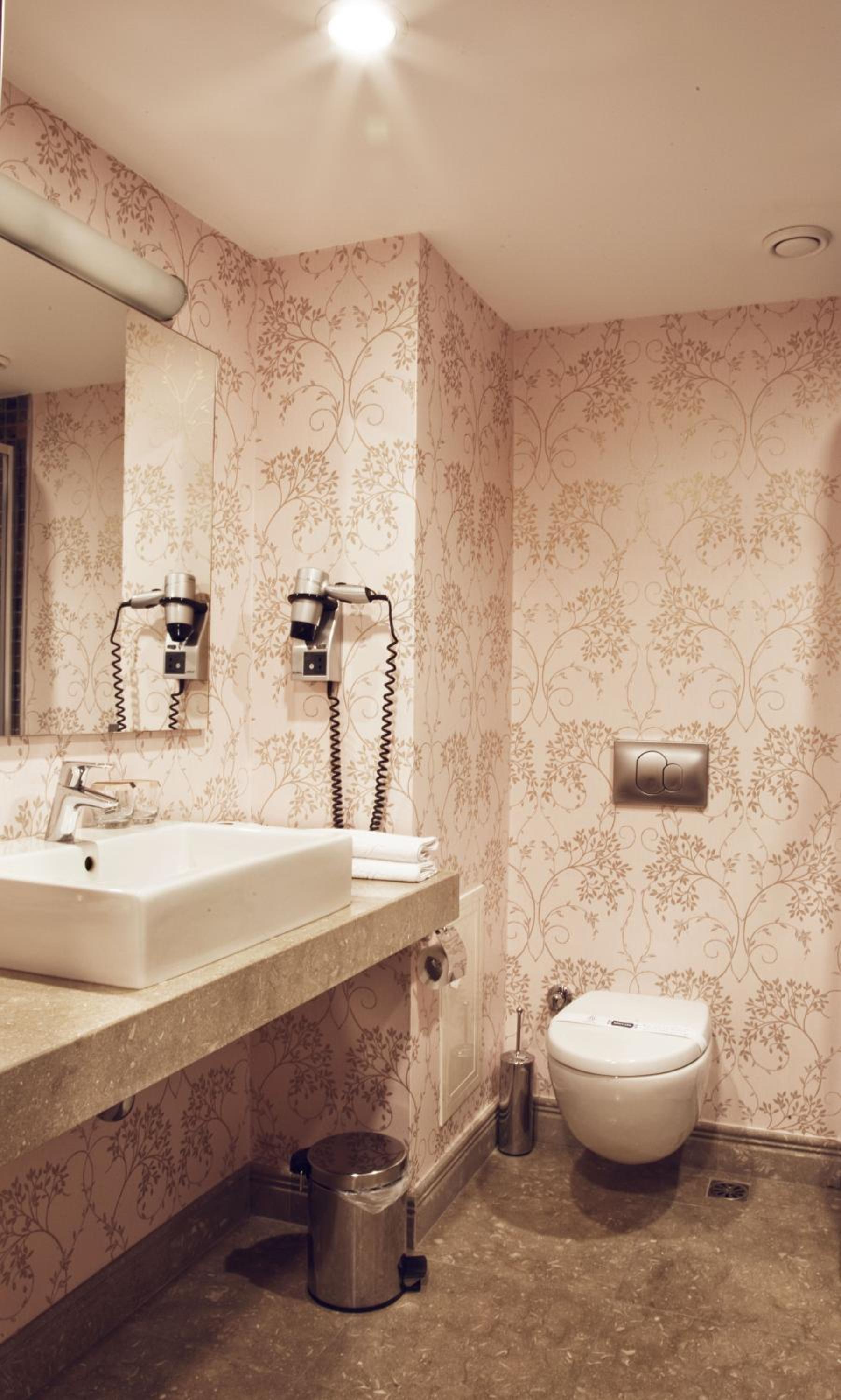 Deluxe Double or Twin Room with City View photo 3