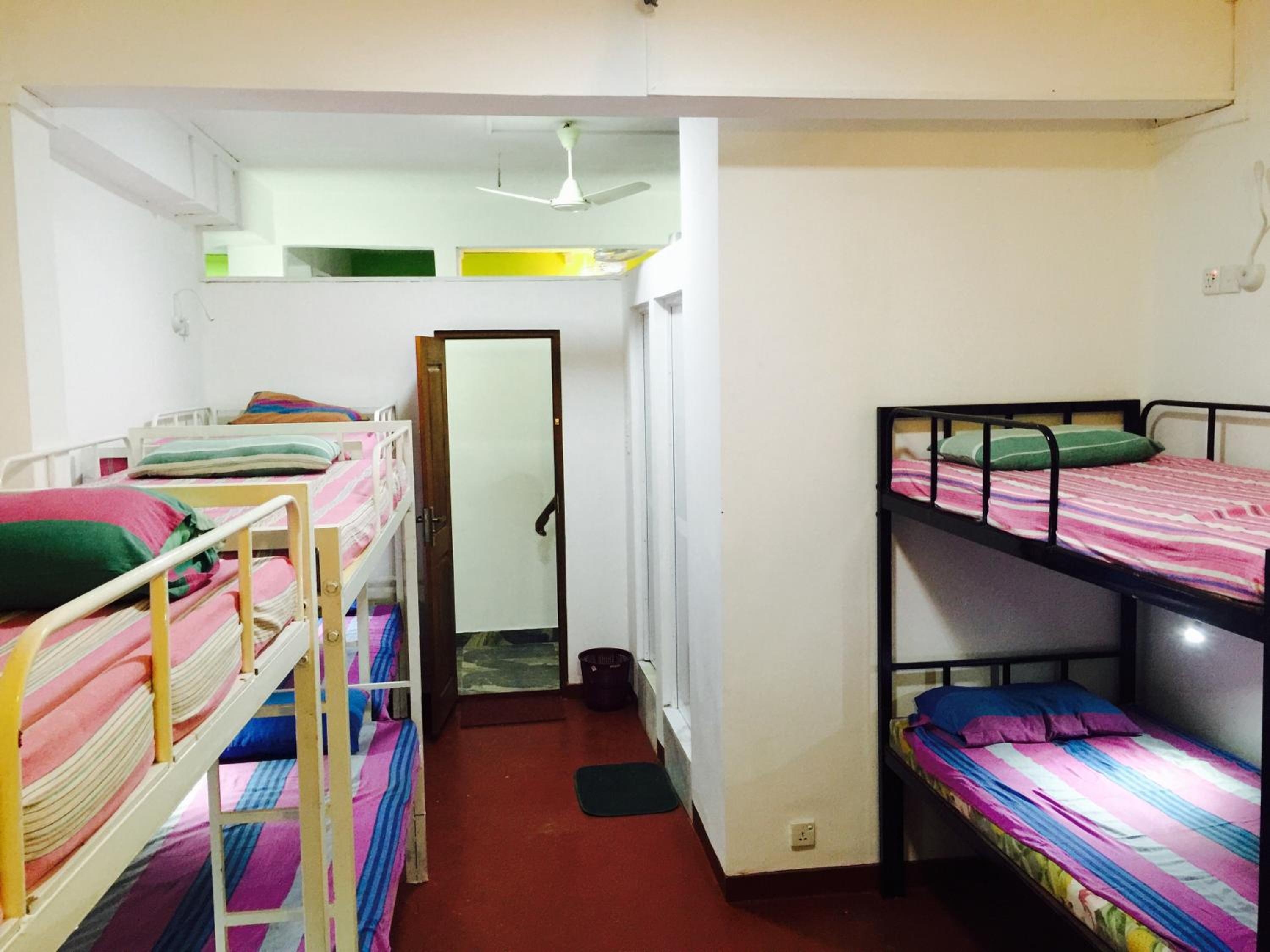 Bed in 8-Bed Female Dormitory Room photo 1