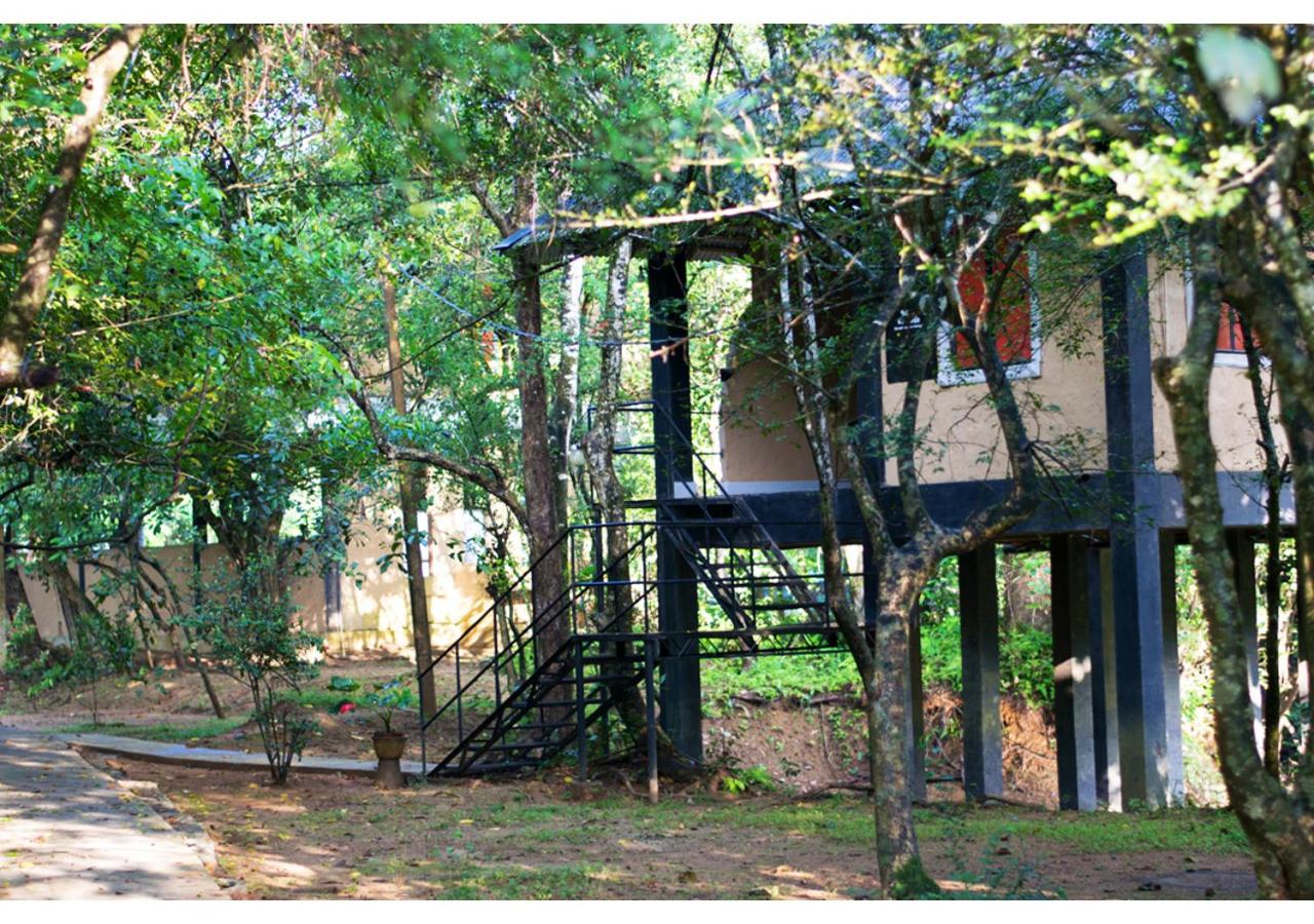 Cottage - Photo 6