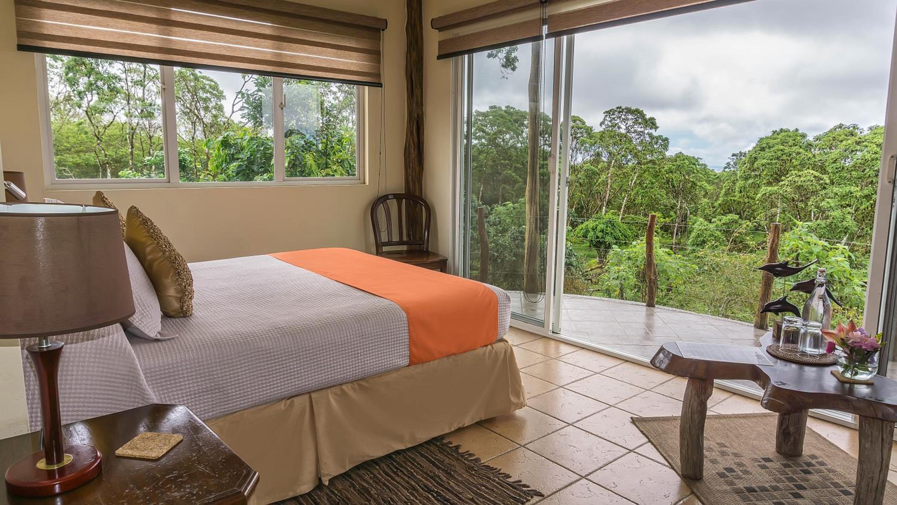 Superior Double Room photo 1
