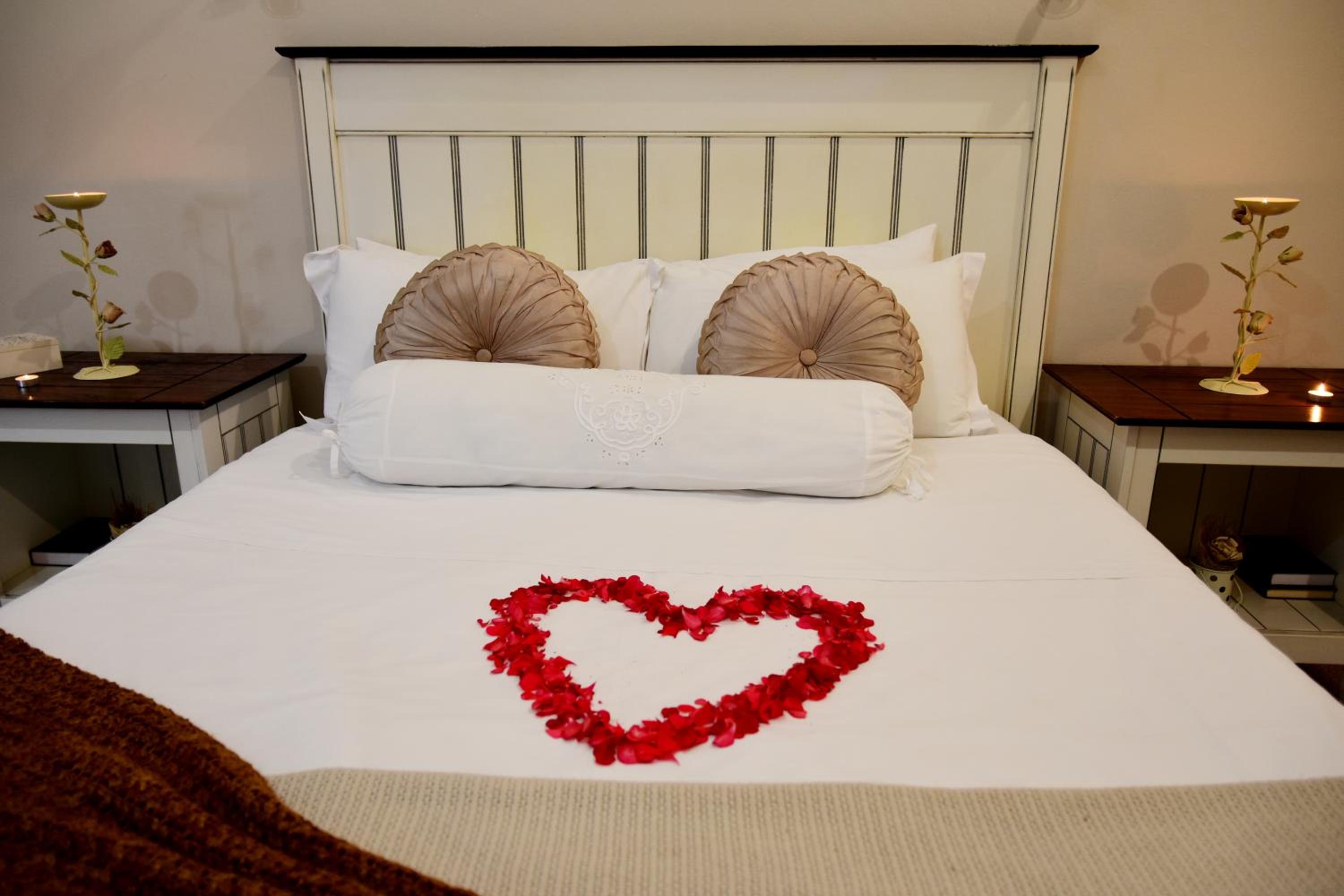 Suite - Photo 1