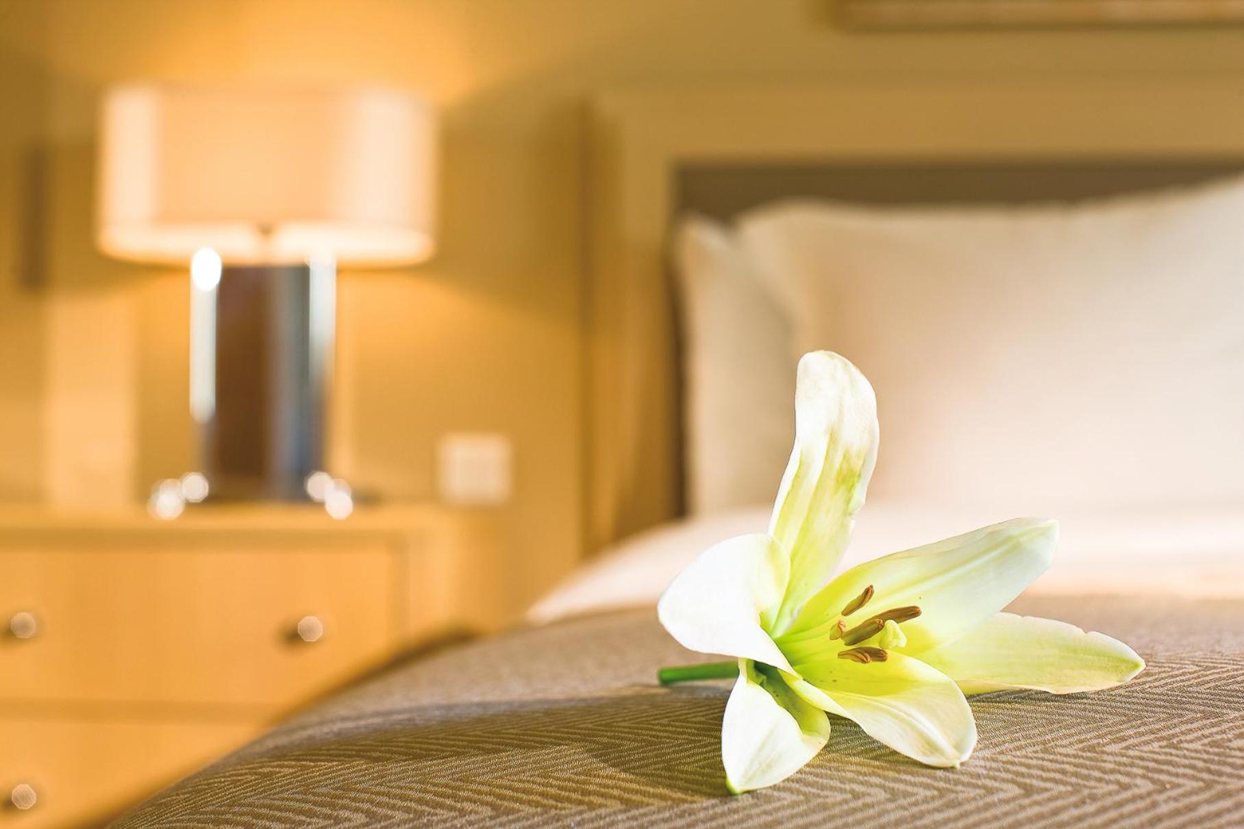 Premium King Room - Photo 3