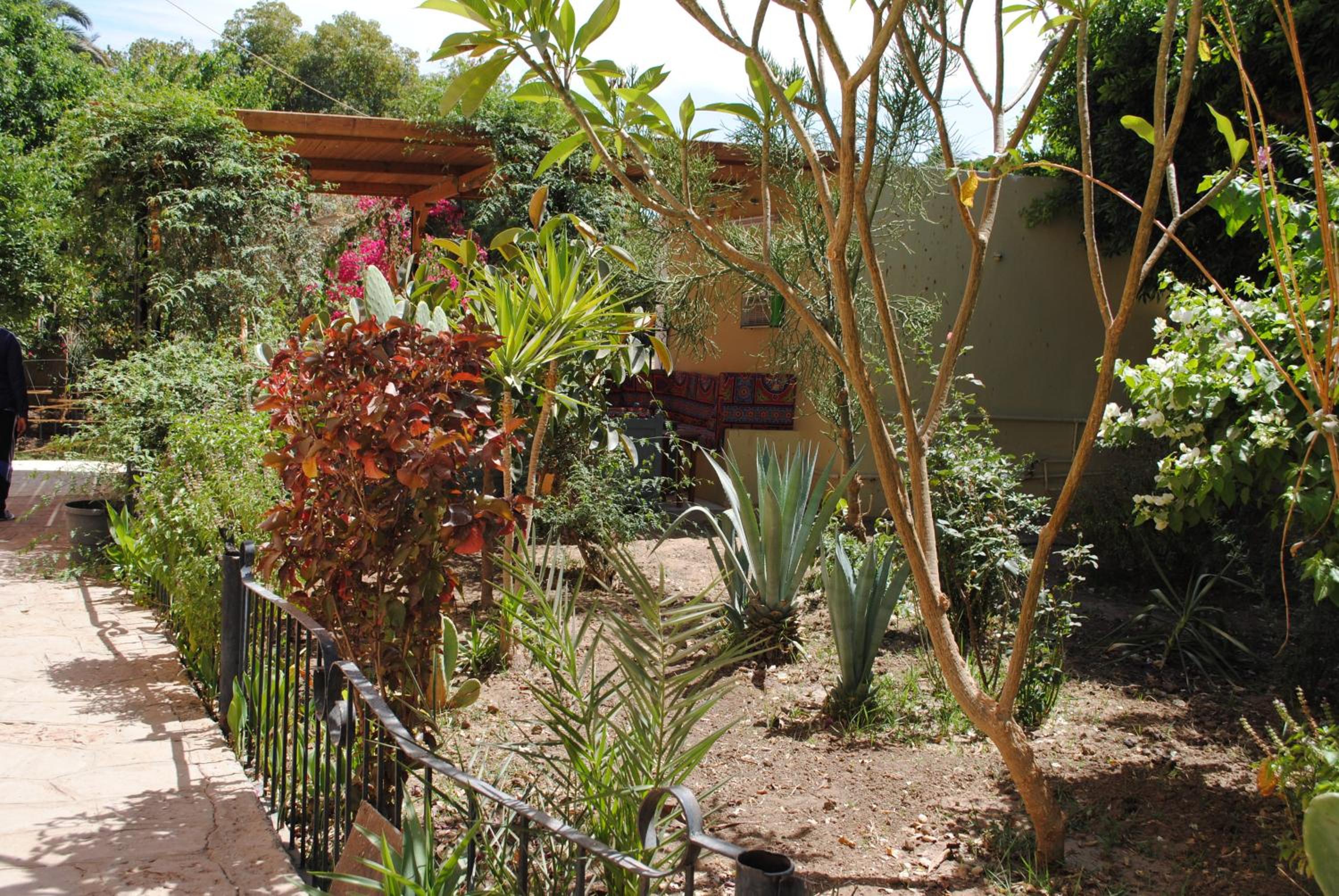 Deluxe Double Room with Private Bathroom With Garden View - Photo 27