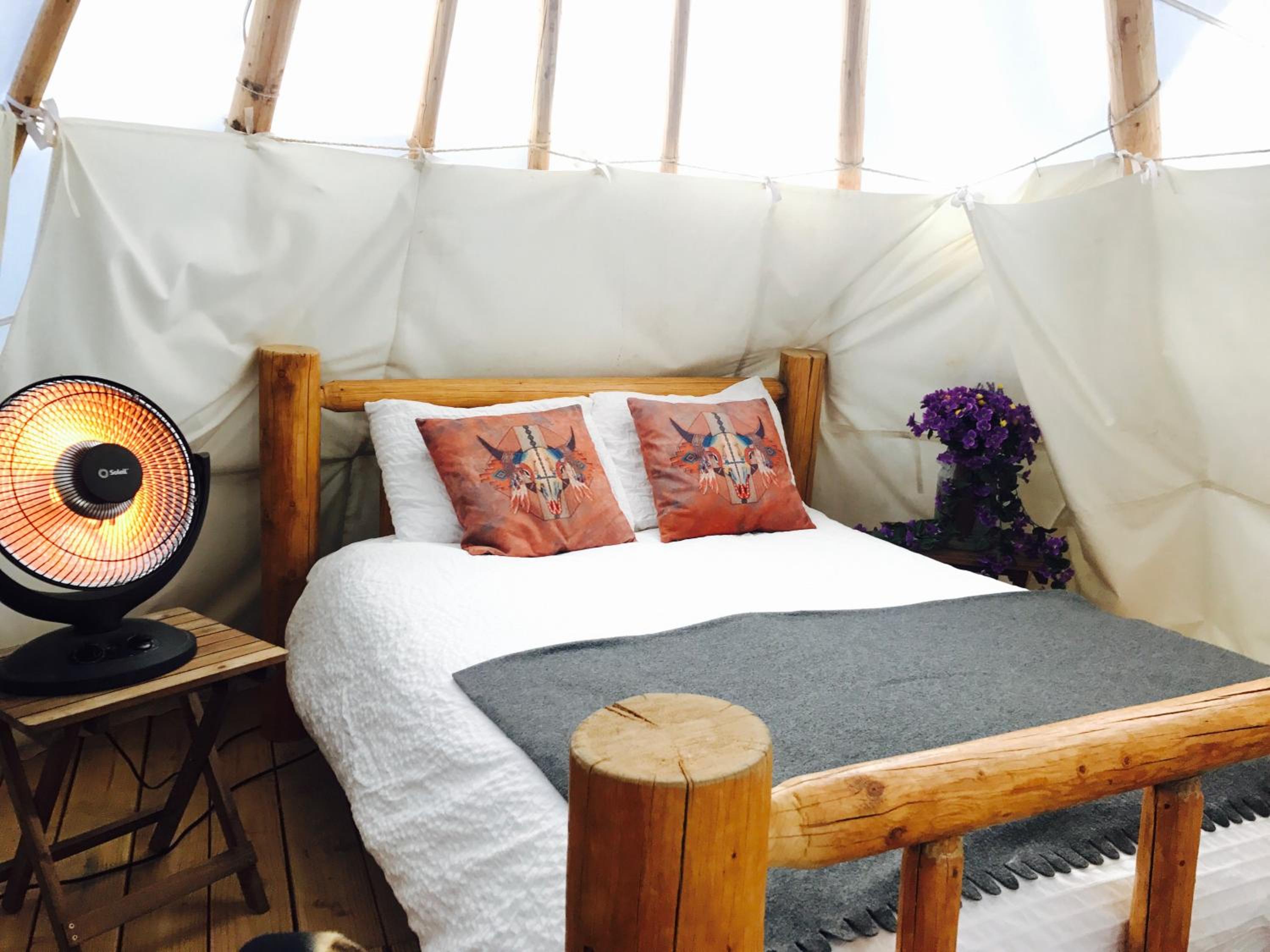 Teepee - Horse photo 1