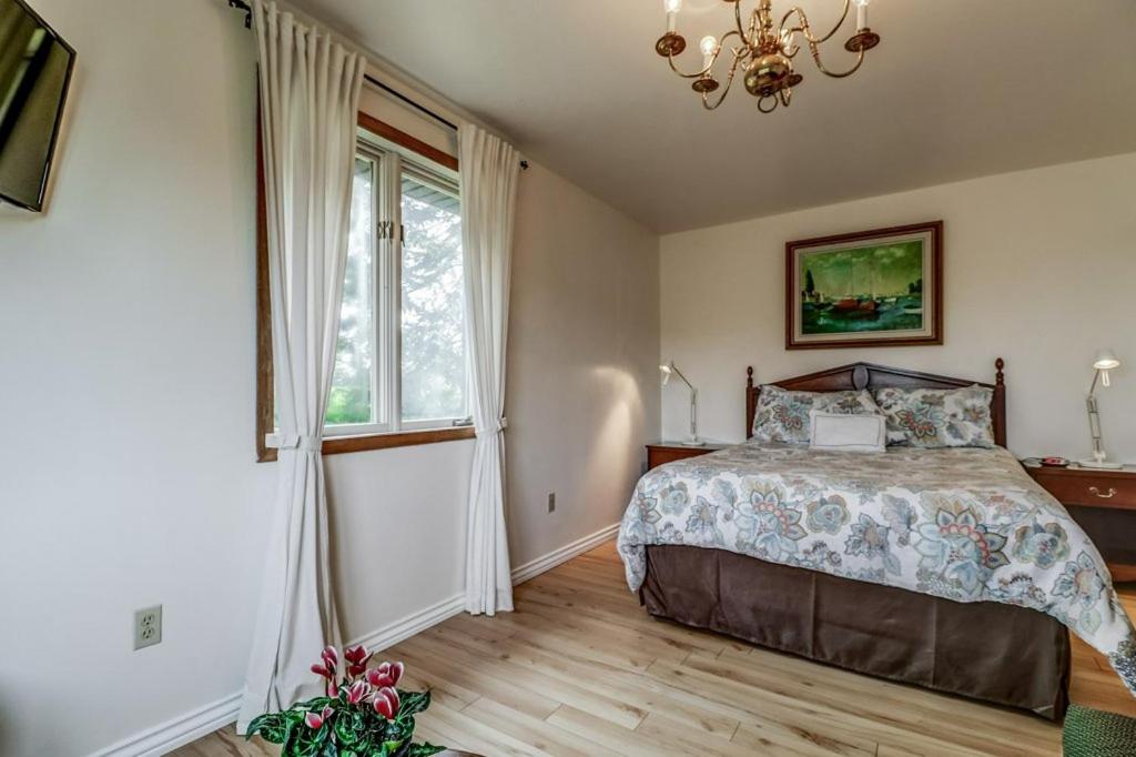 Junior Suite photo 3