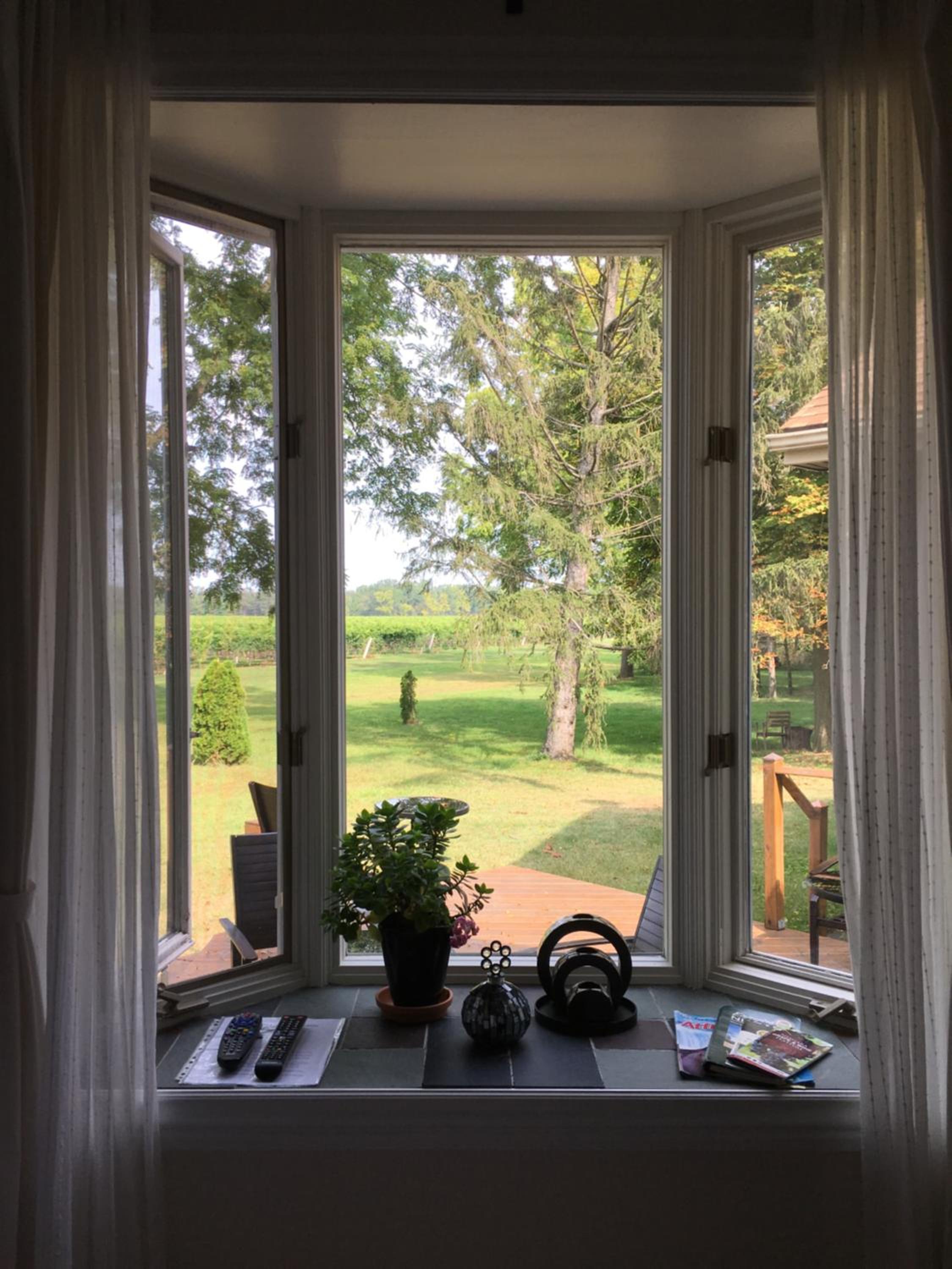 Double Room with Garden View photo 3
