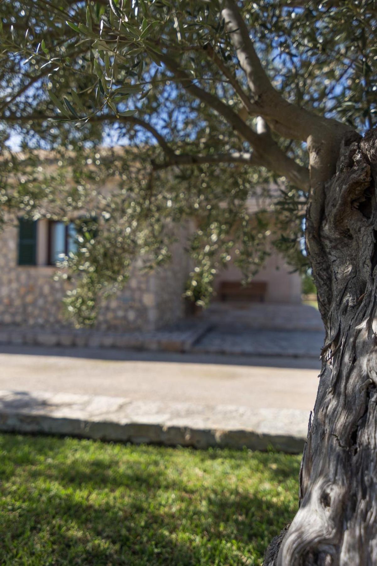 Villa photo 3