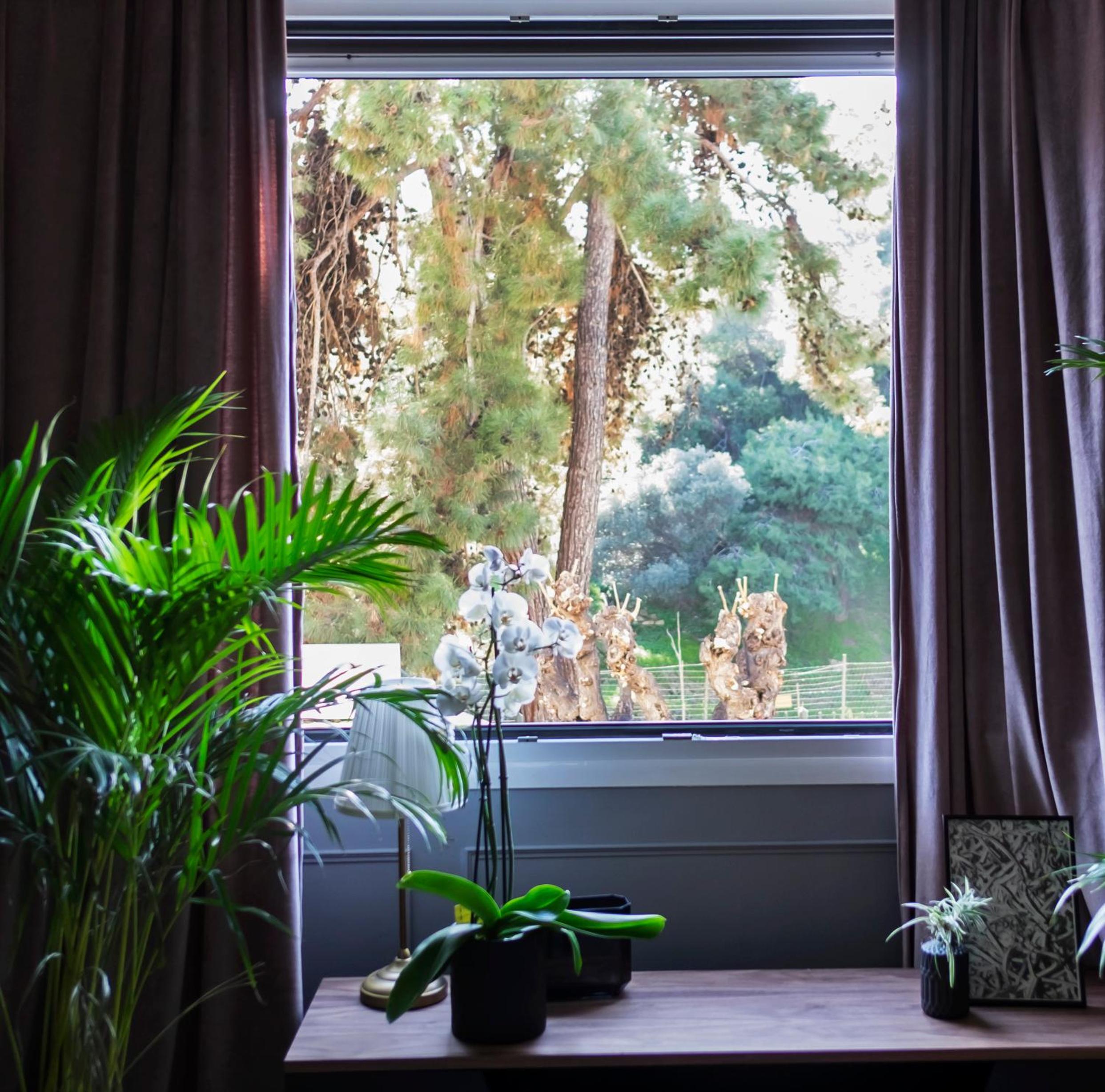 Two-Bedroom Apartment with Balcony photo 3