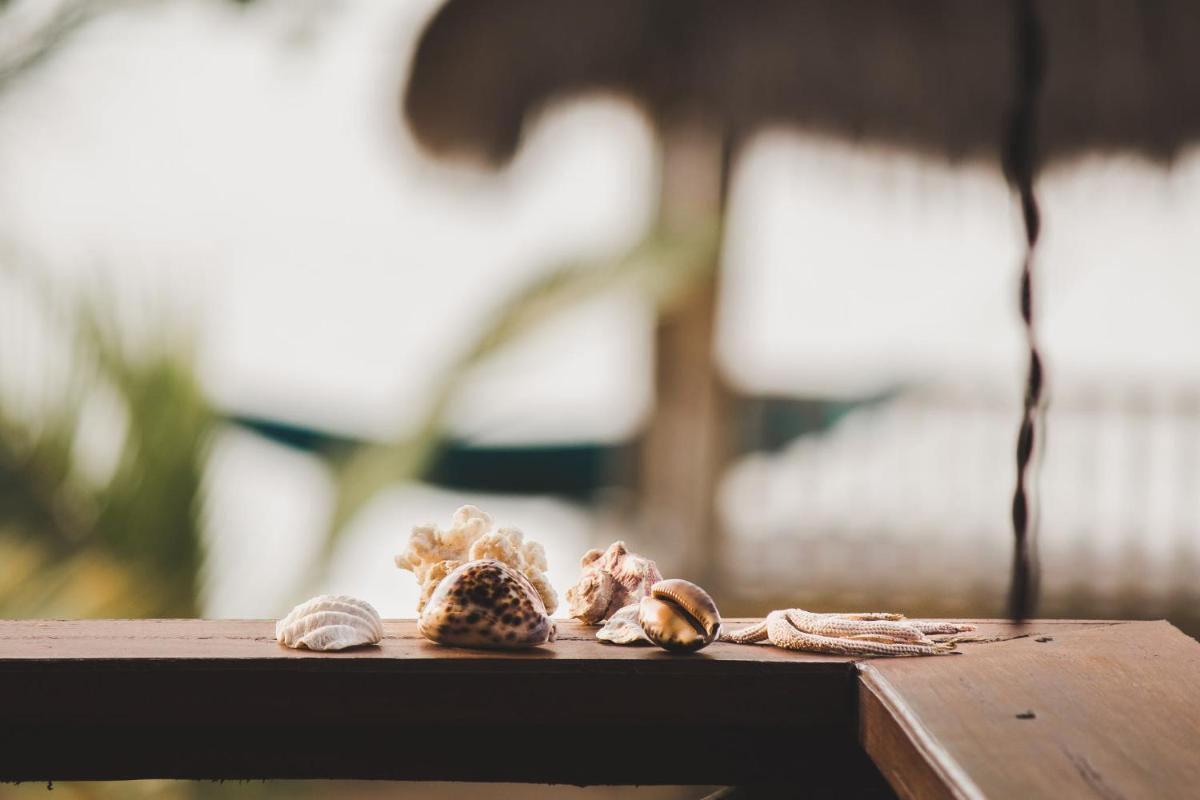 Bungalow with Sea View - Orchid - Photo 6