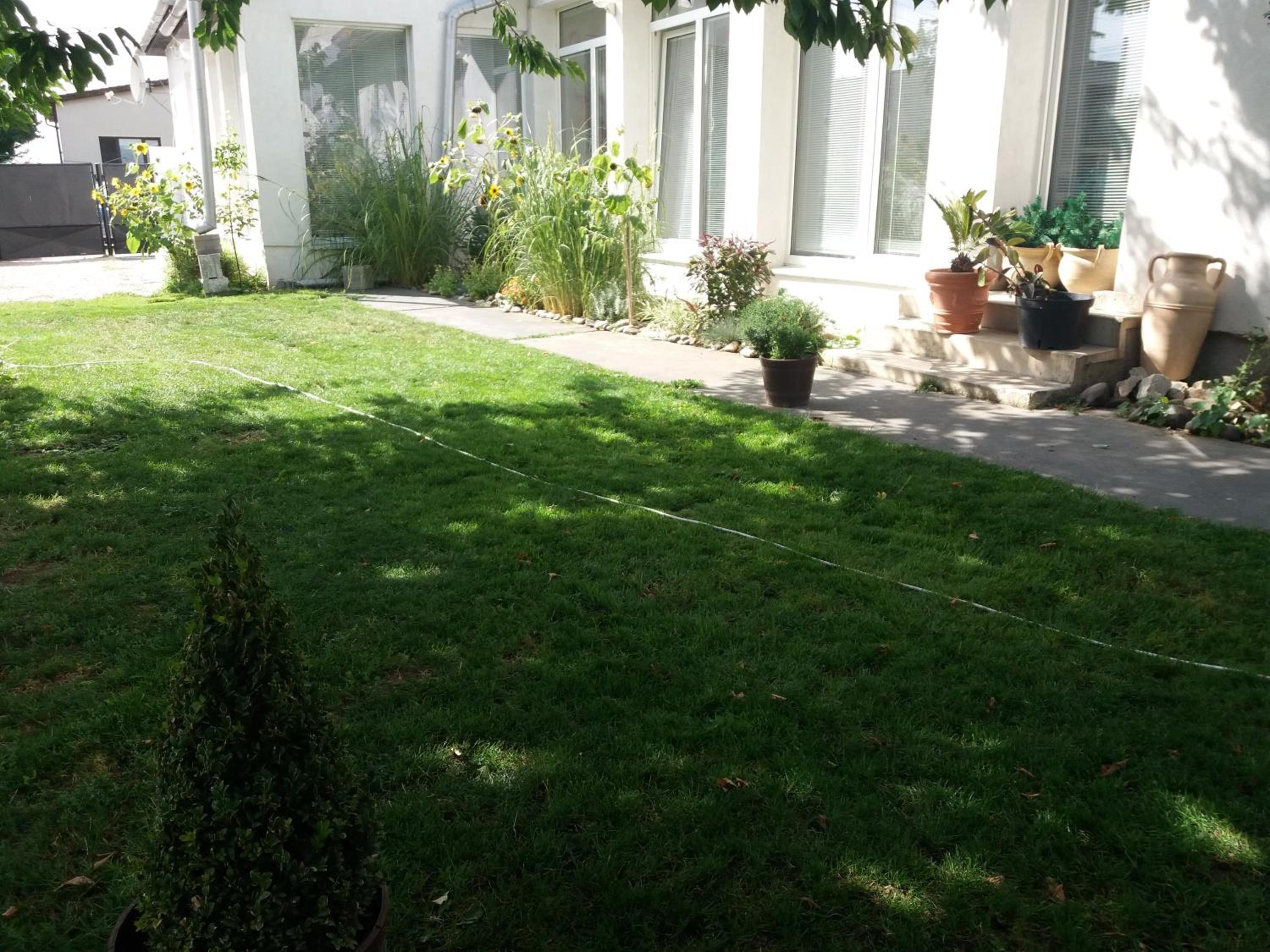 Apartment - Photo 12
