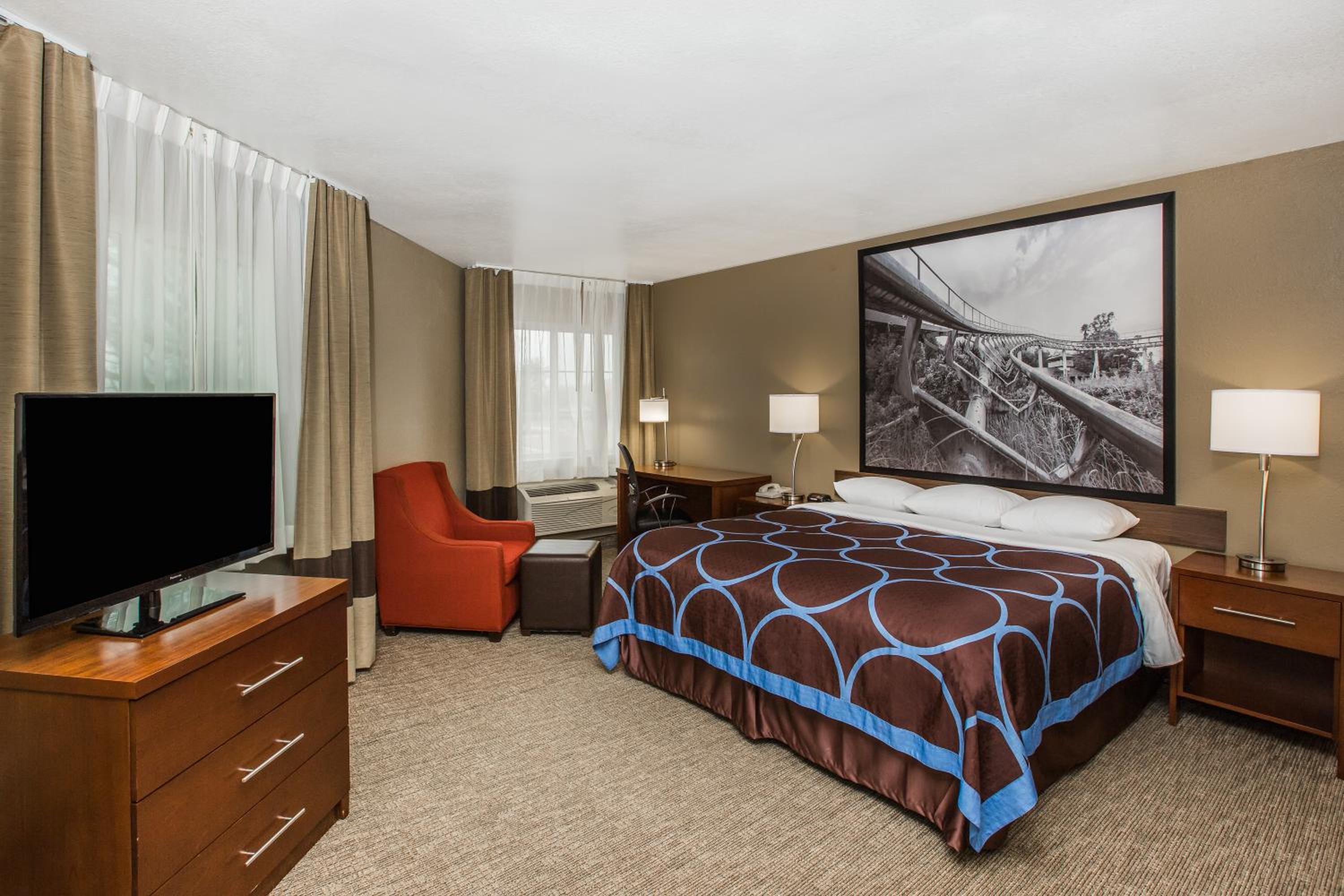 Deluxe King Suite - Non-Smoking - Photo 1