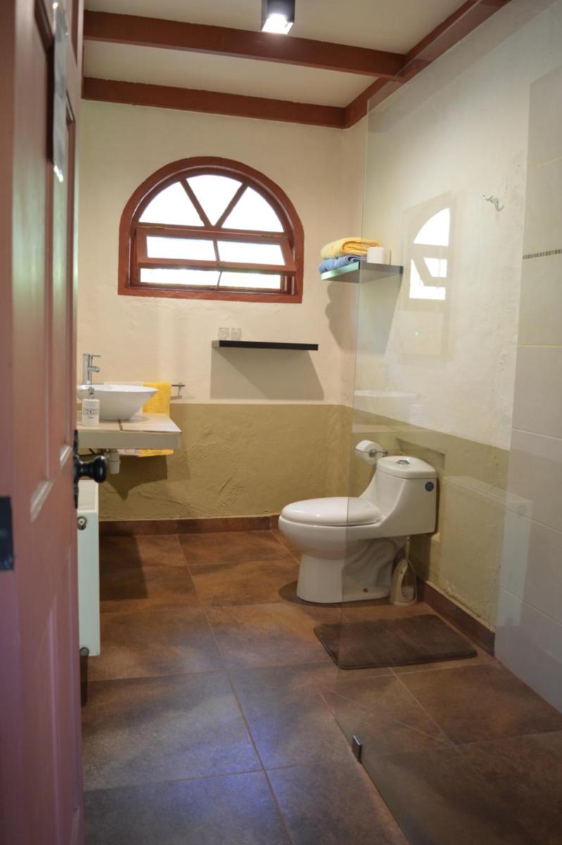 Double or Twin Room photo 3
