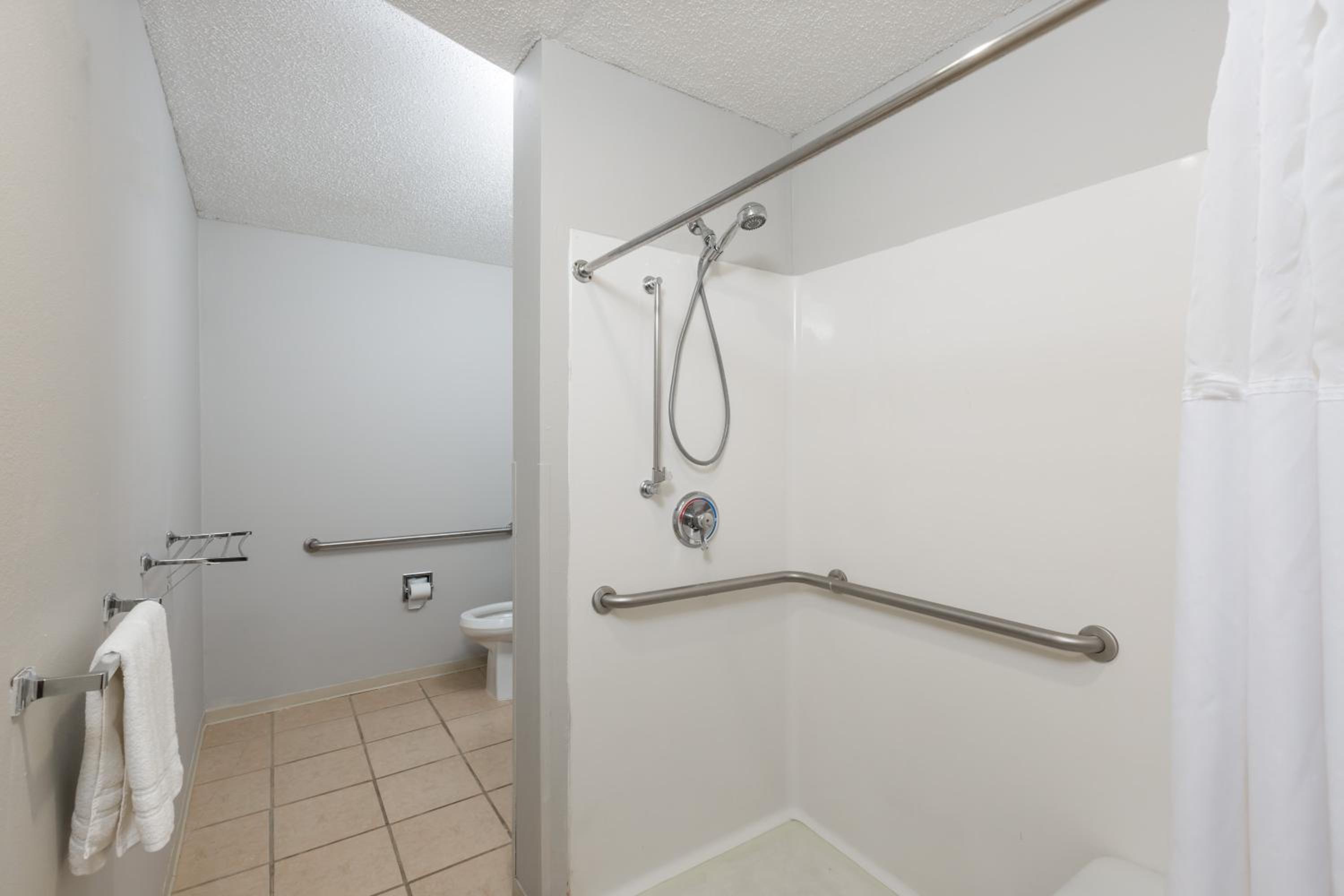 Queen Studio Suite - Mobility Access/Non-Smoking - Photo 2