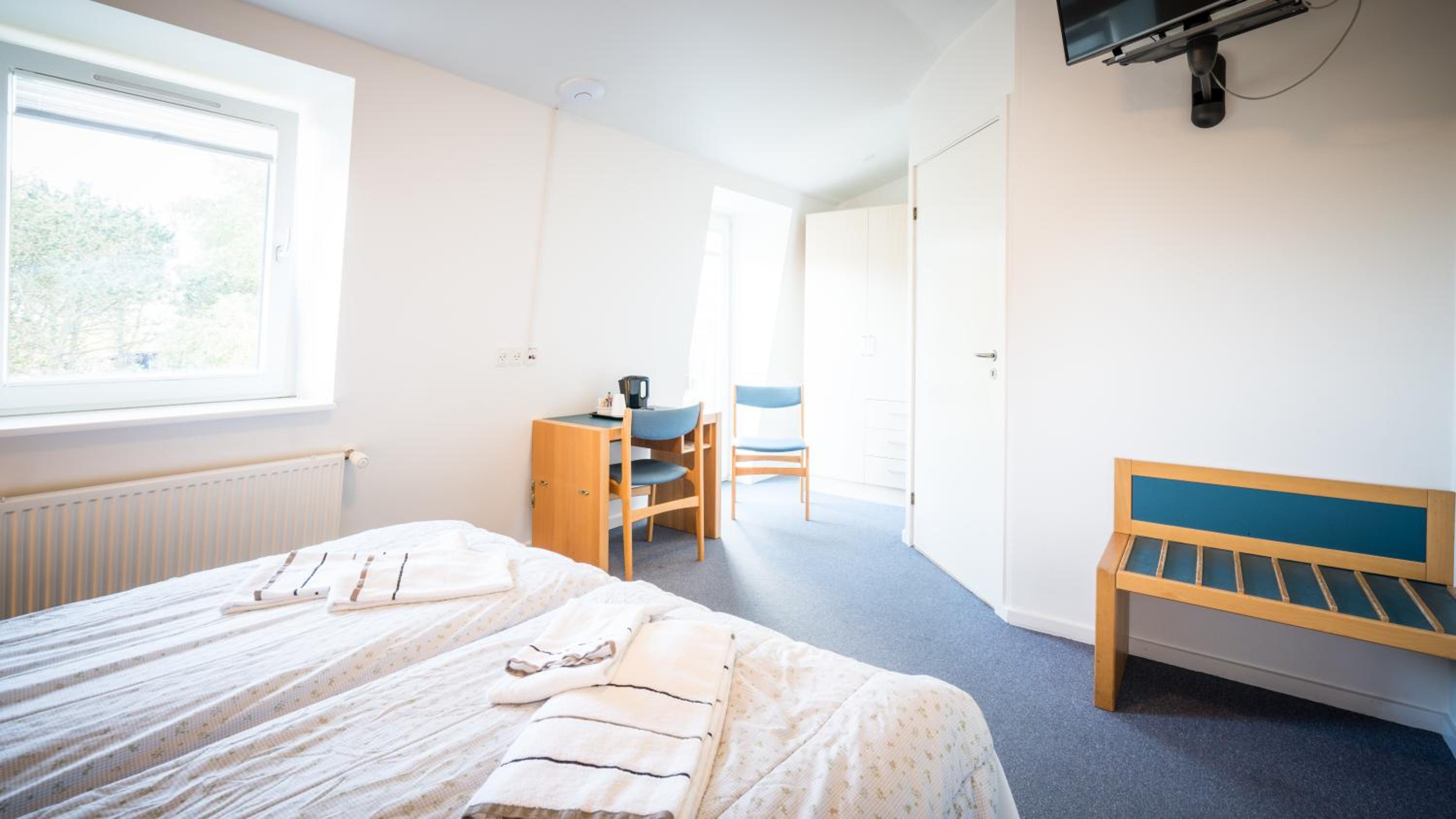Single Room photo 1