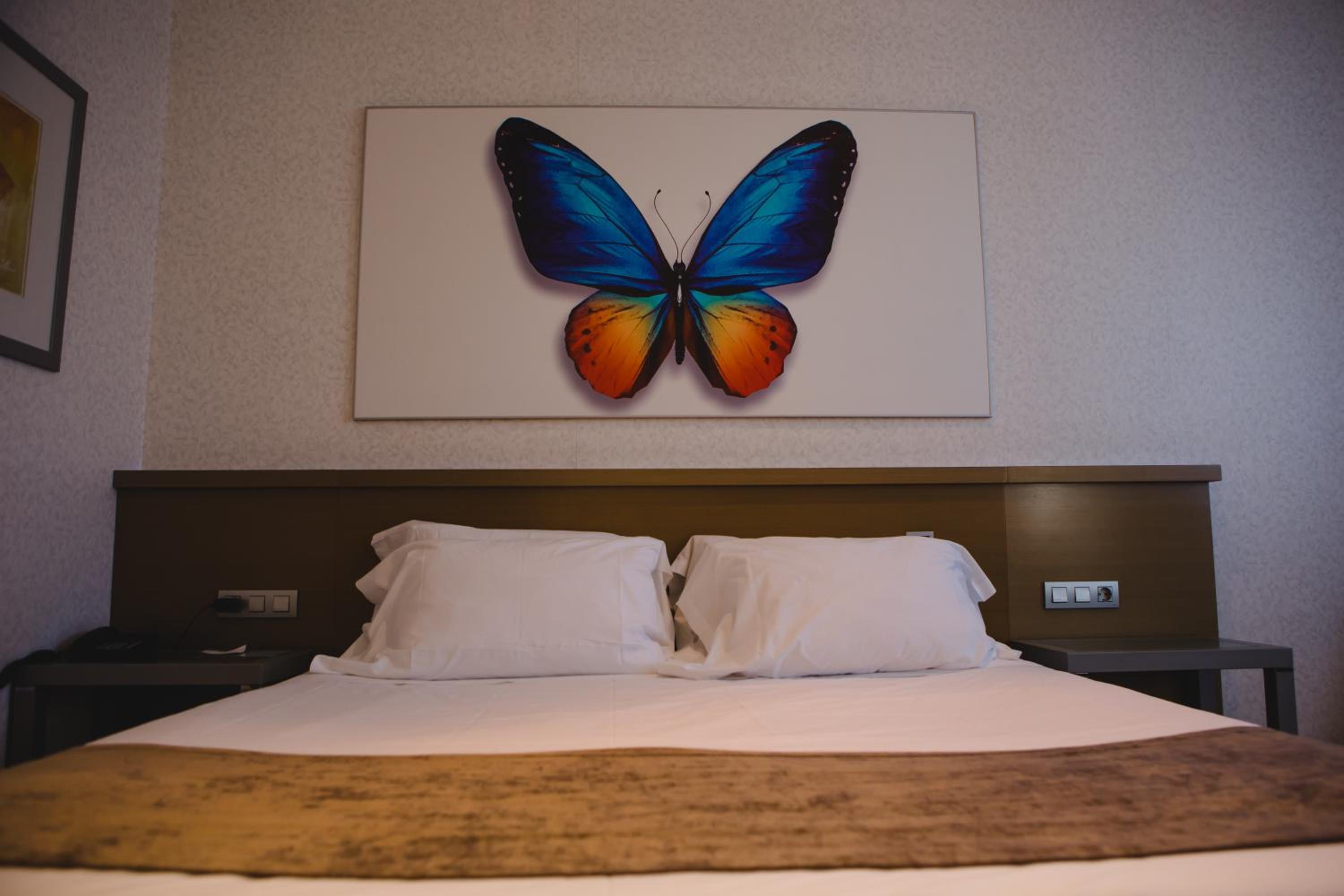 Double or Twin Room - Disability Access