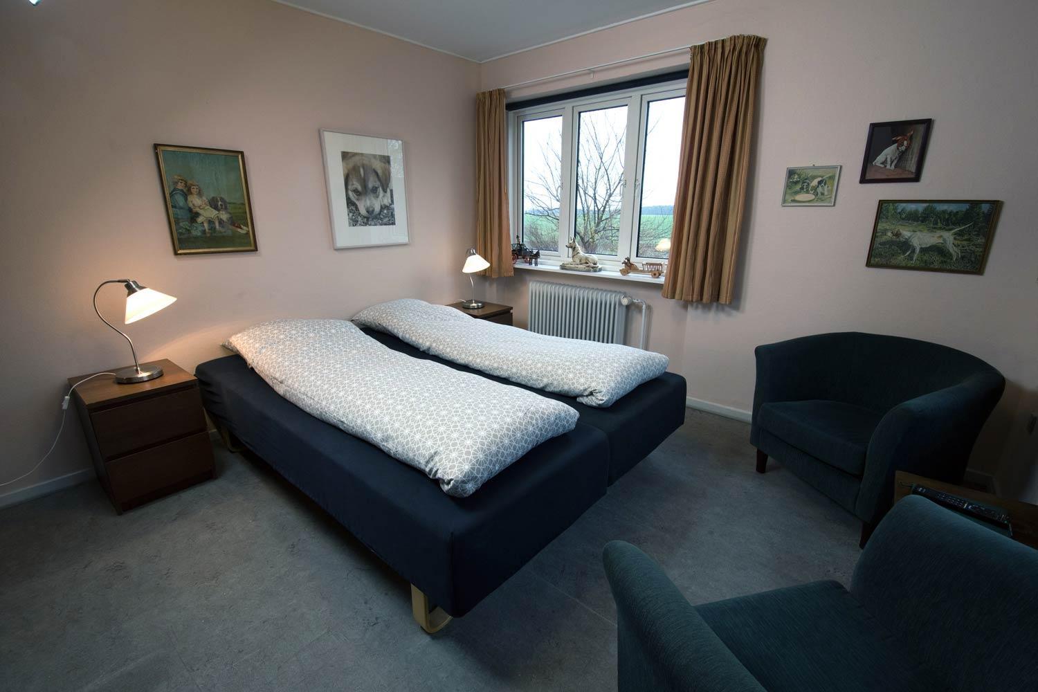 Double or Twin Room - Dog Friendly photo 3