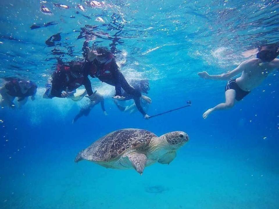 Half Board Standard Double Room with Snorkeling + Boat Transfer (Return)
