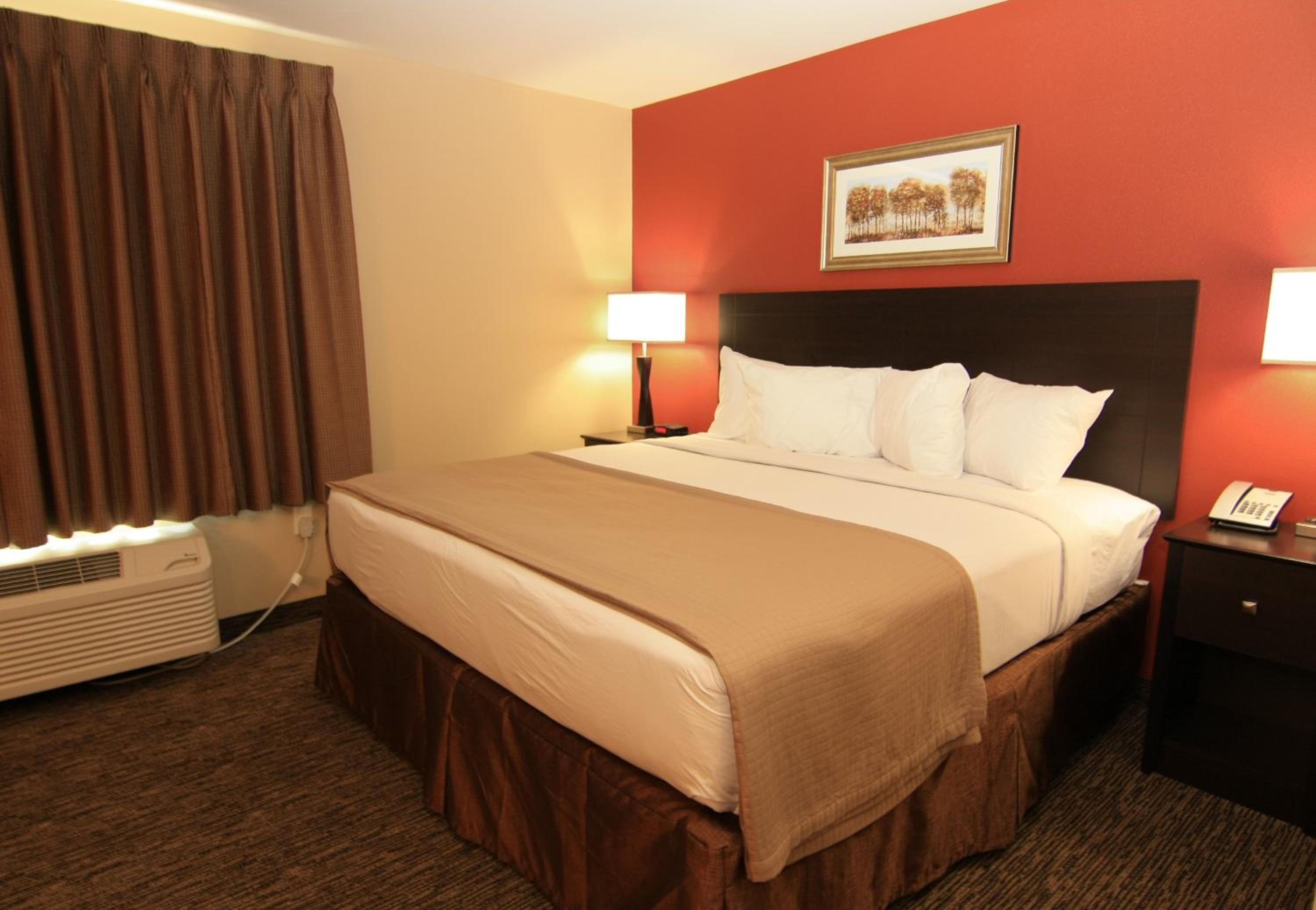 King Suite photo 2