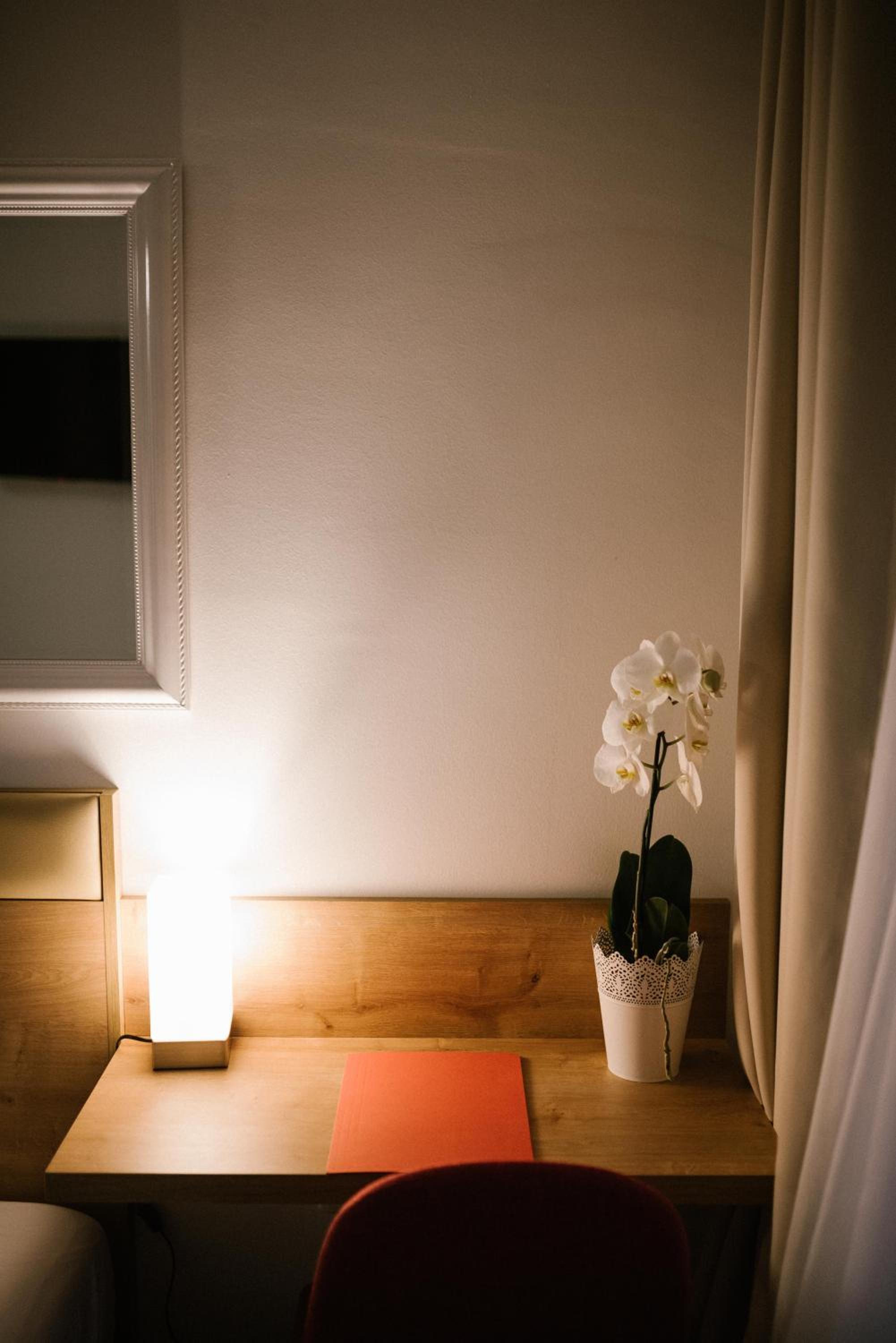 Deluxe Single Room with Balcony photo 1